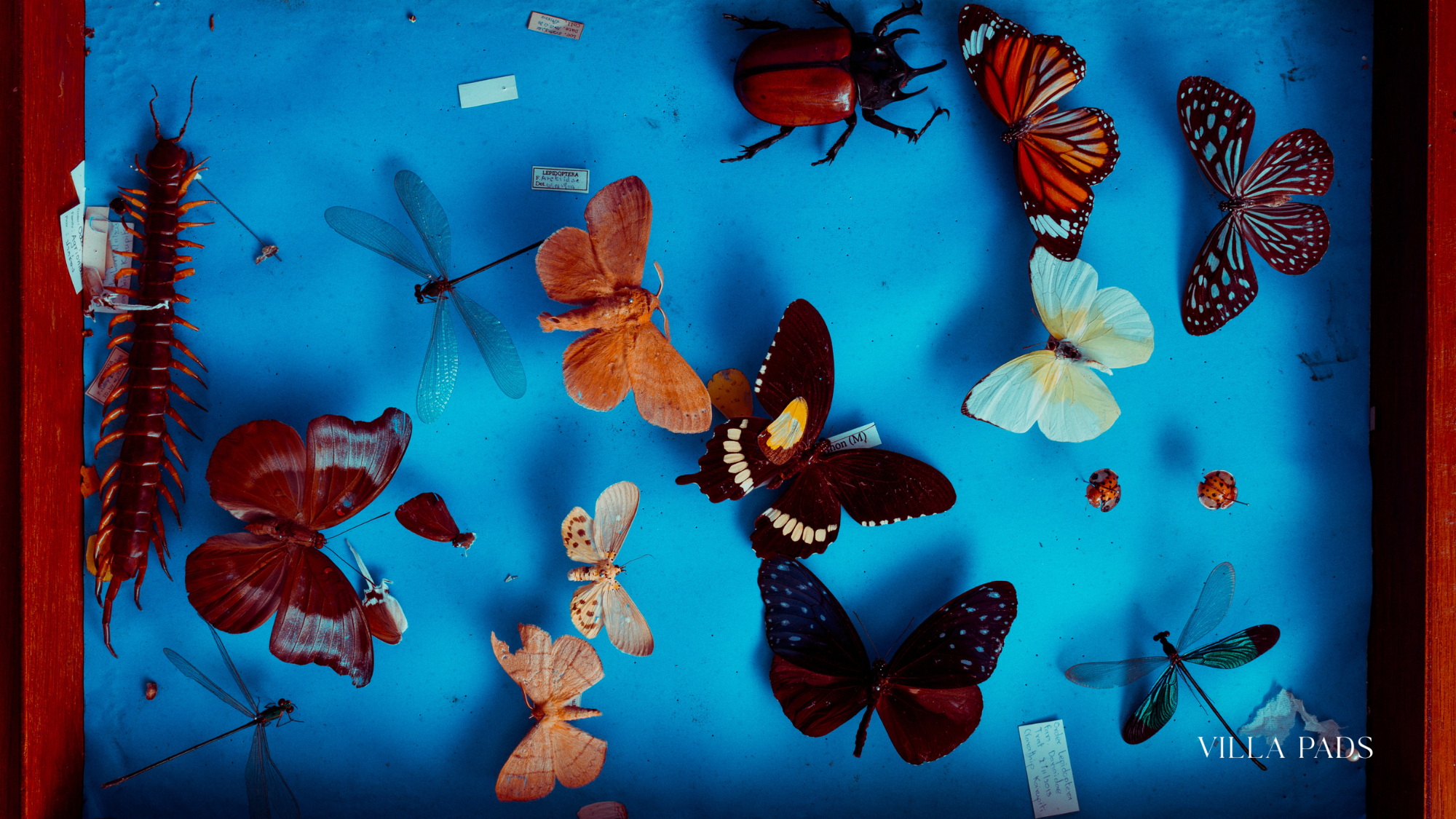 Family Insect Exhibit Miami