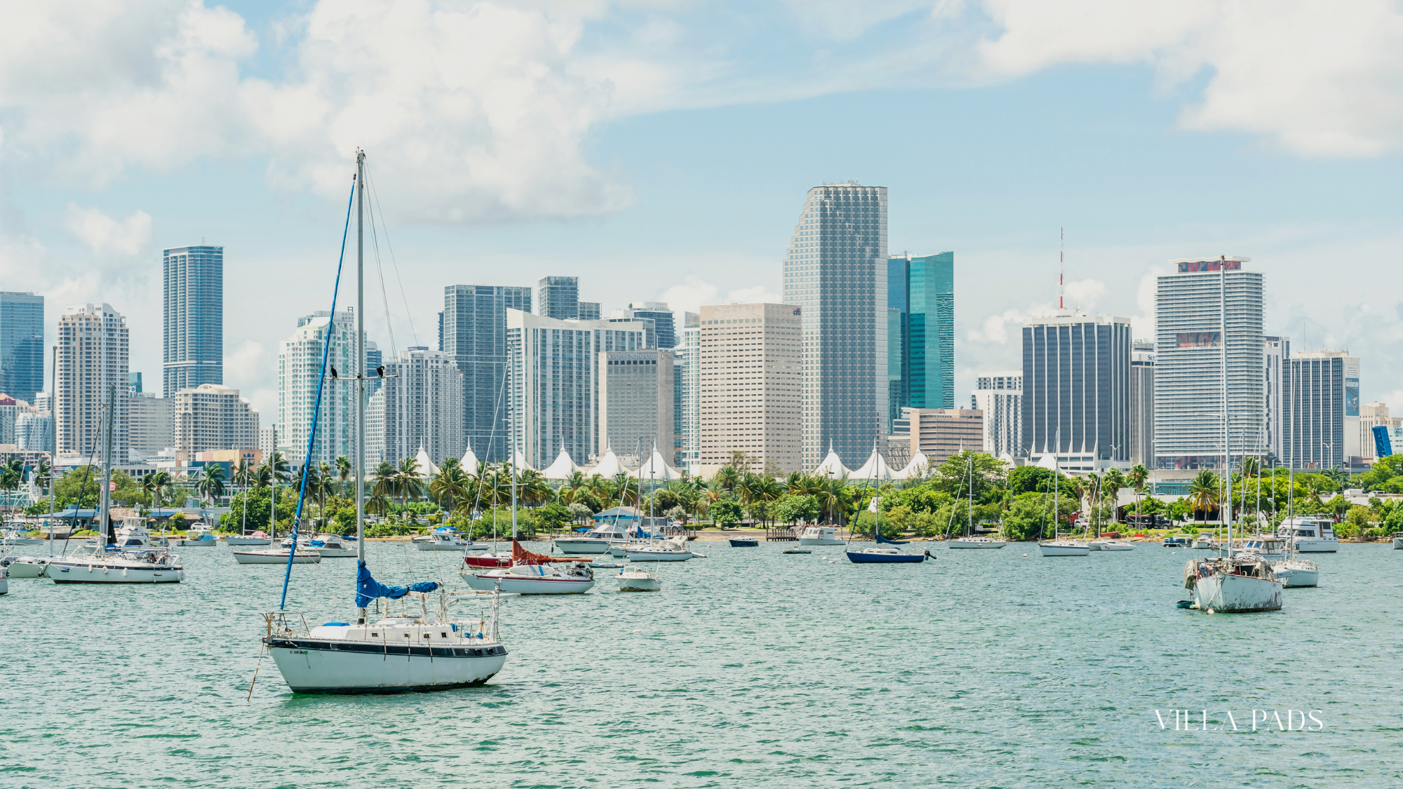 Biscayne Bay Sailboats