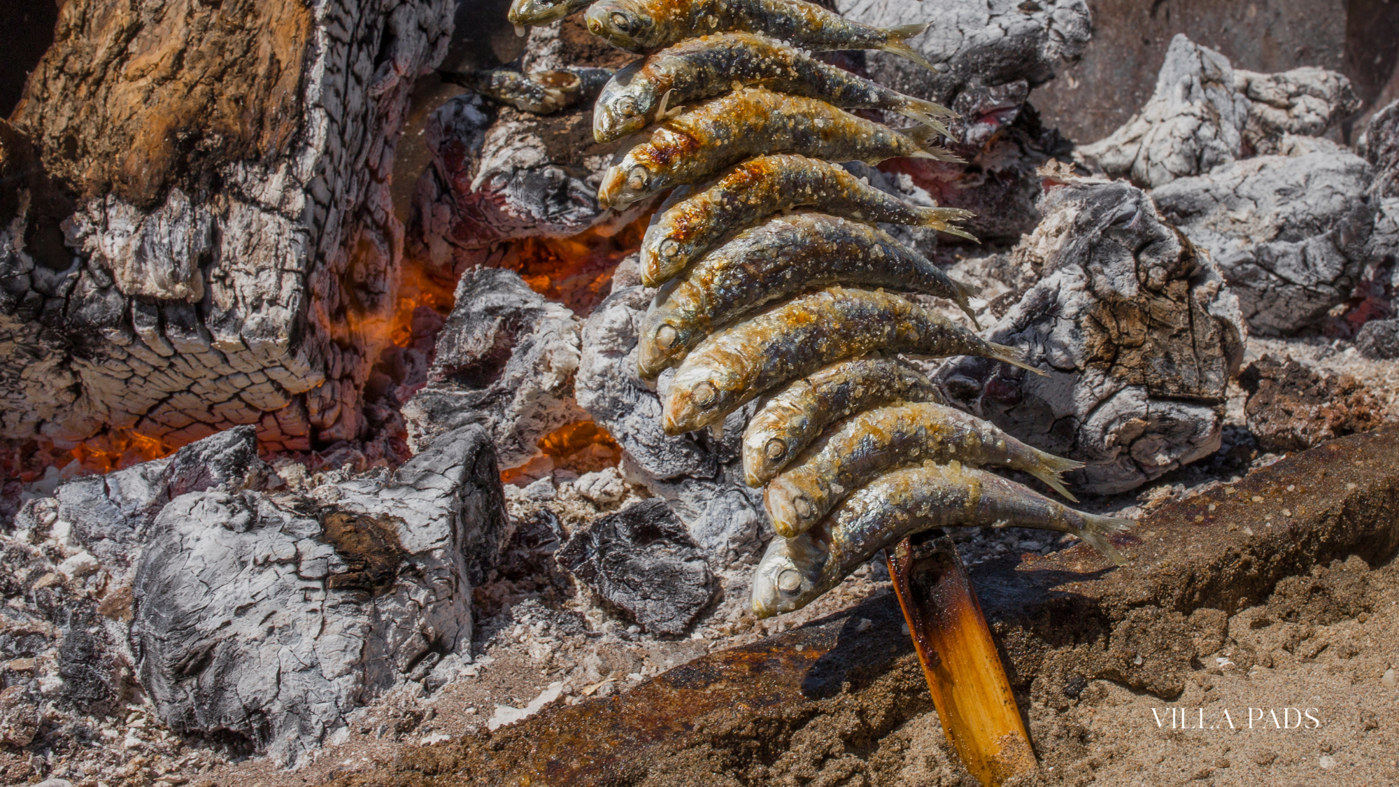 Marbella Chiringuitos Beach Clubs