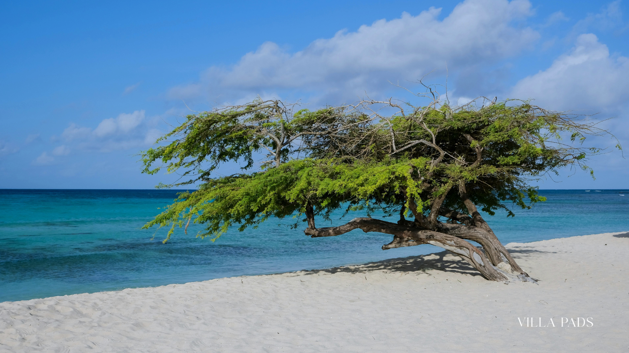 Best Time To Visit Aruba