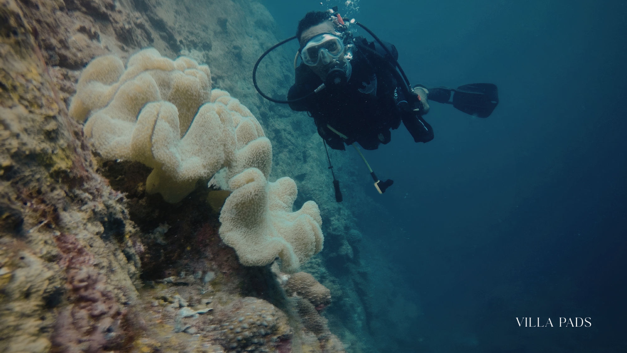Mykonos Scuba Diving Clear Reef