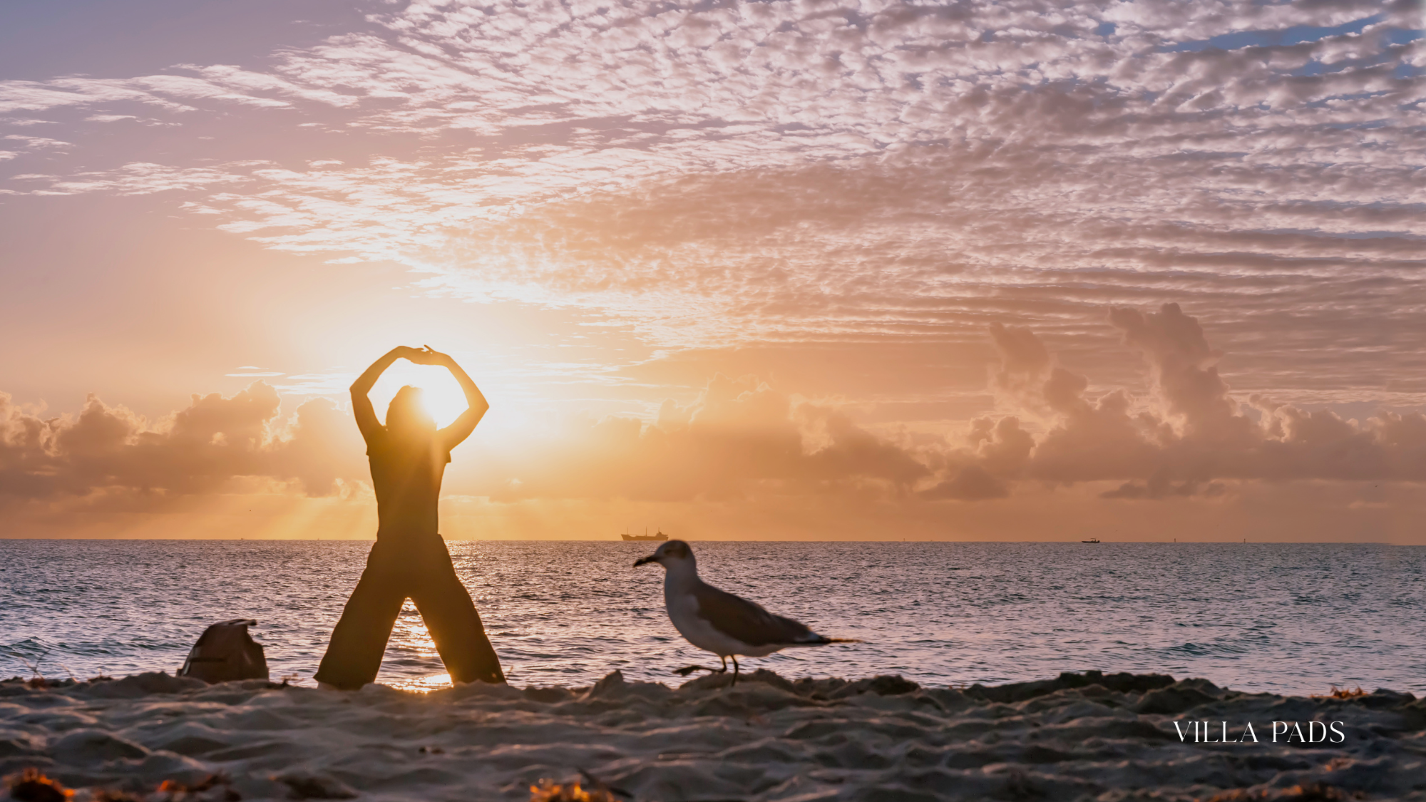 Wellness Villa Miami Summer