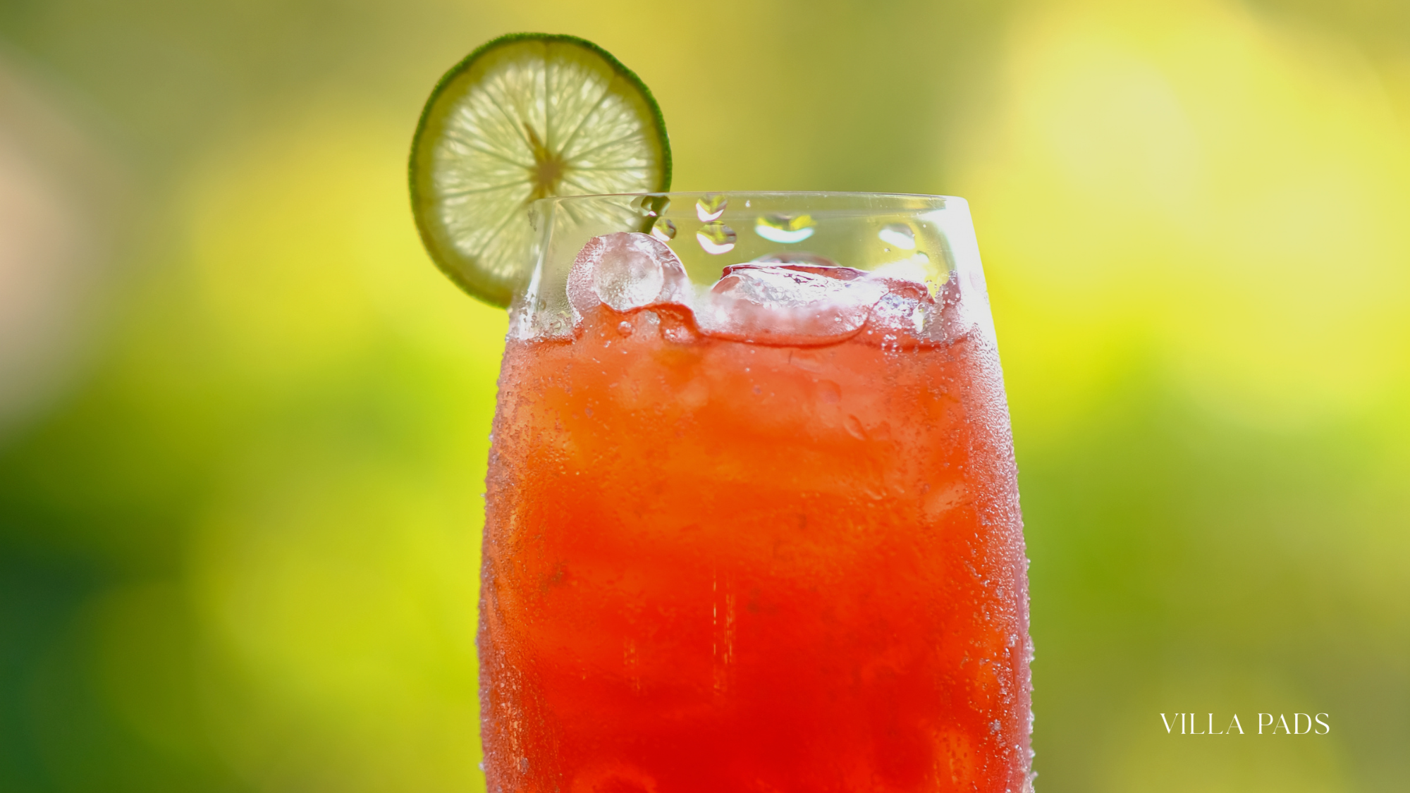 Sustainable Mocktails Miami