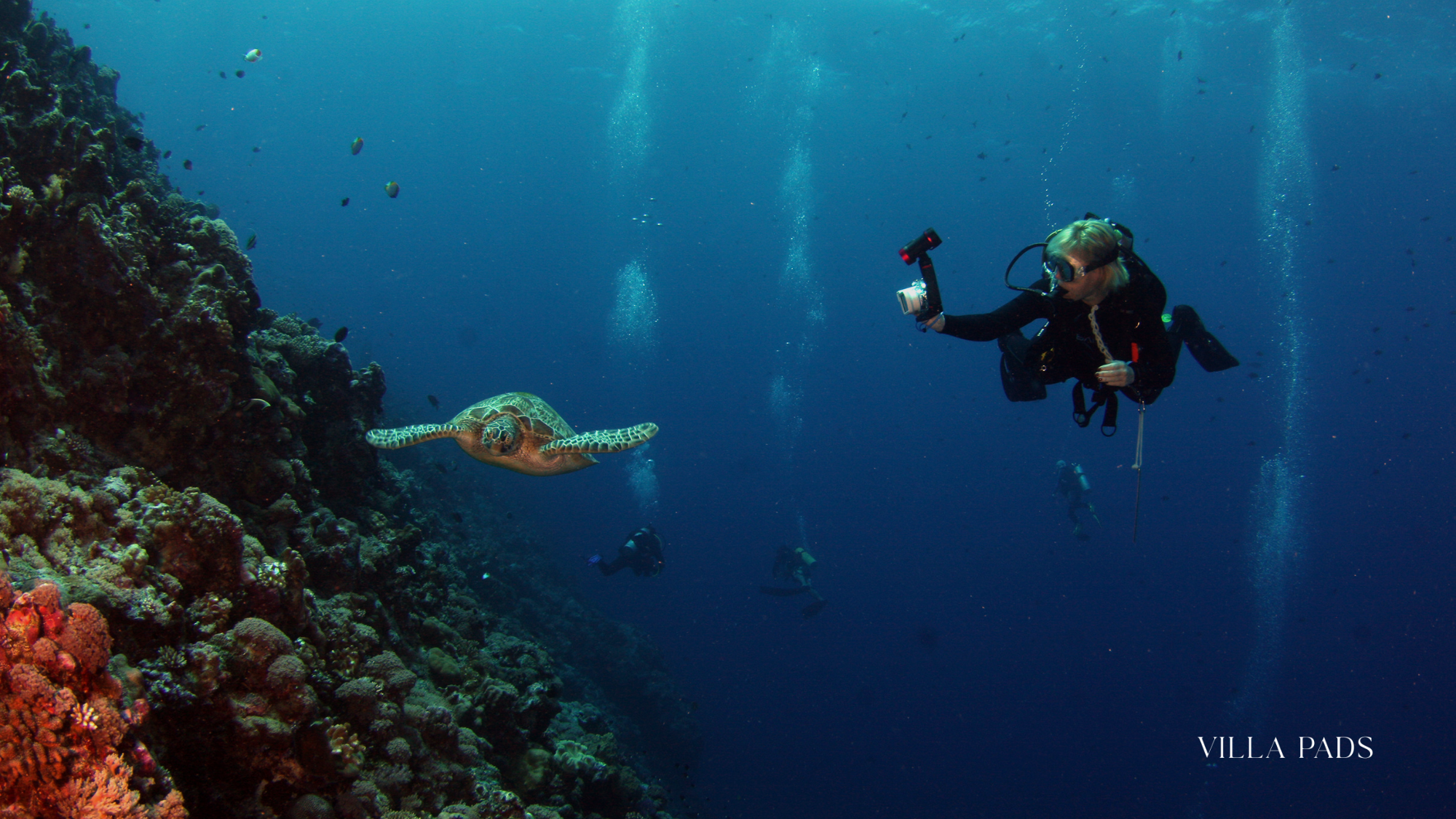 Scuba Diving Dive Sites