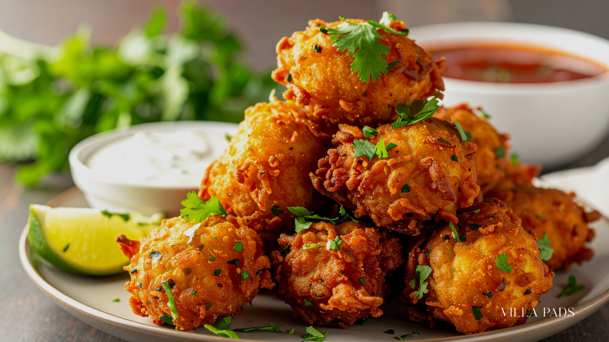 Culinary Experience Conch Fritters