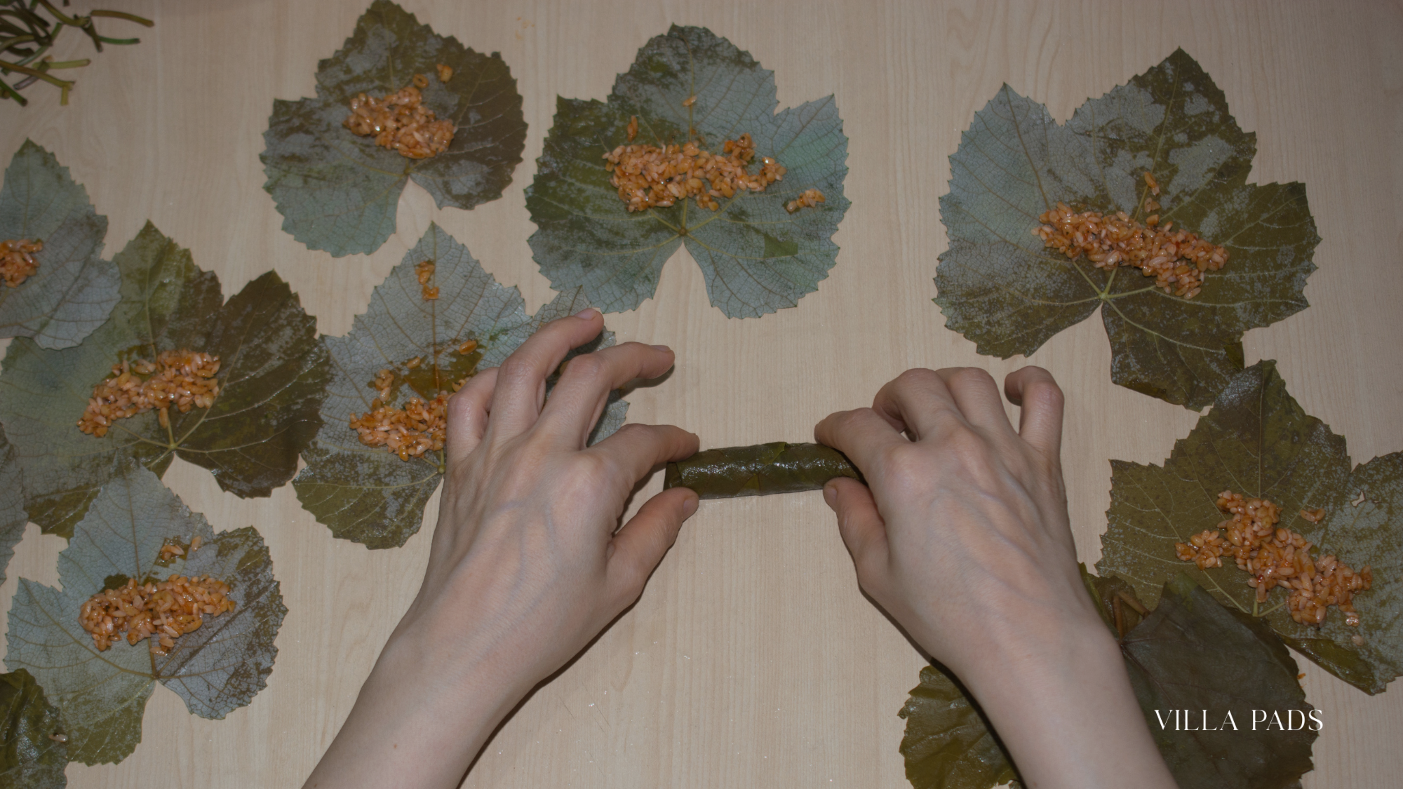 Mykonos Greek Cooking Class Dolmadakia