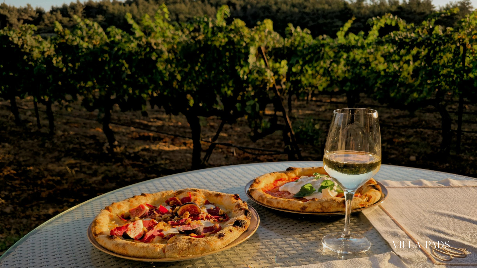 Santorini Vineyard Dinner
