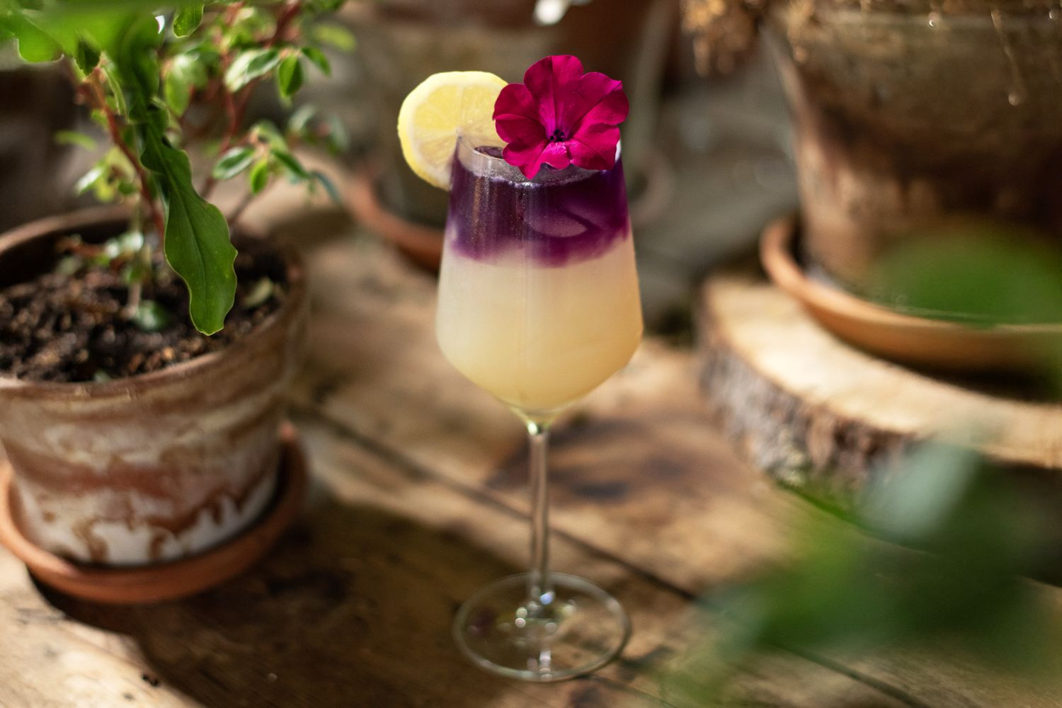 Coconut Grove Mocktails