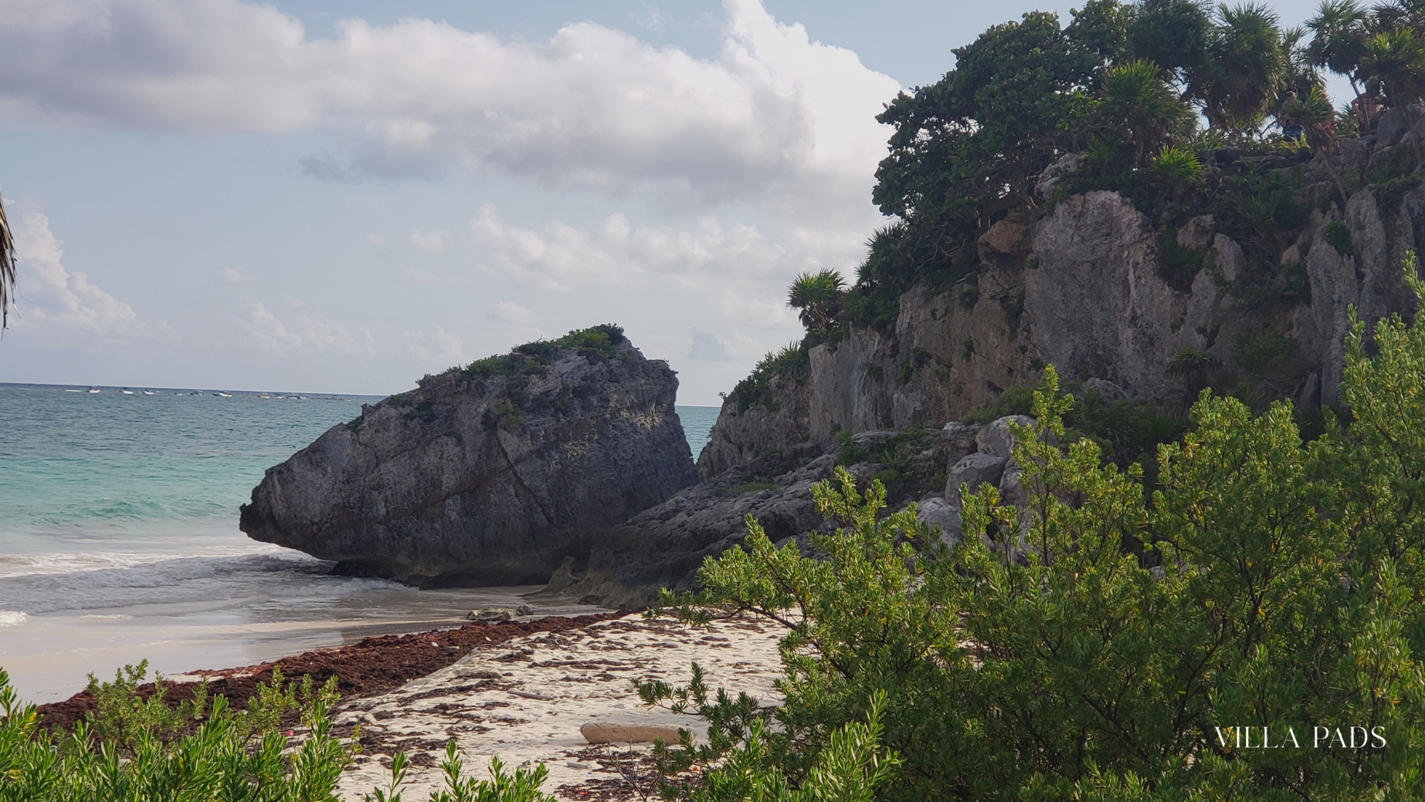 Anguilla Season Visit