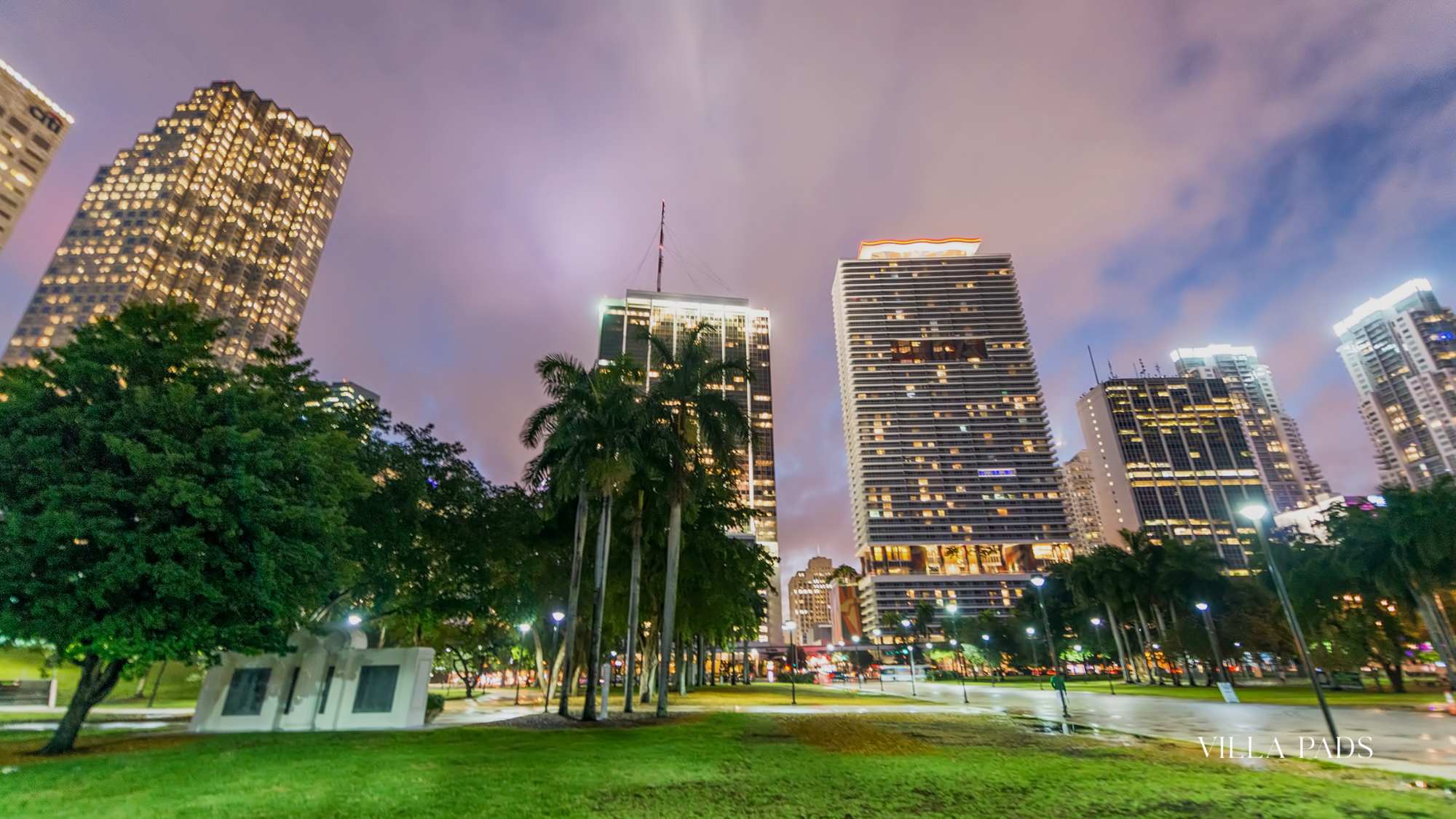 Bayfront Park Tree Lighting Ceremony