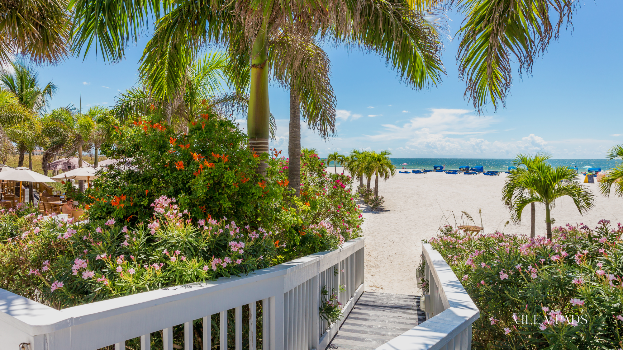 Wellness Retreat South Florida
