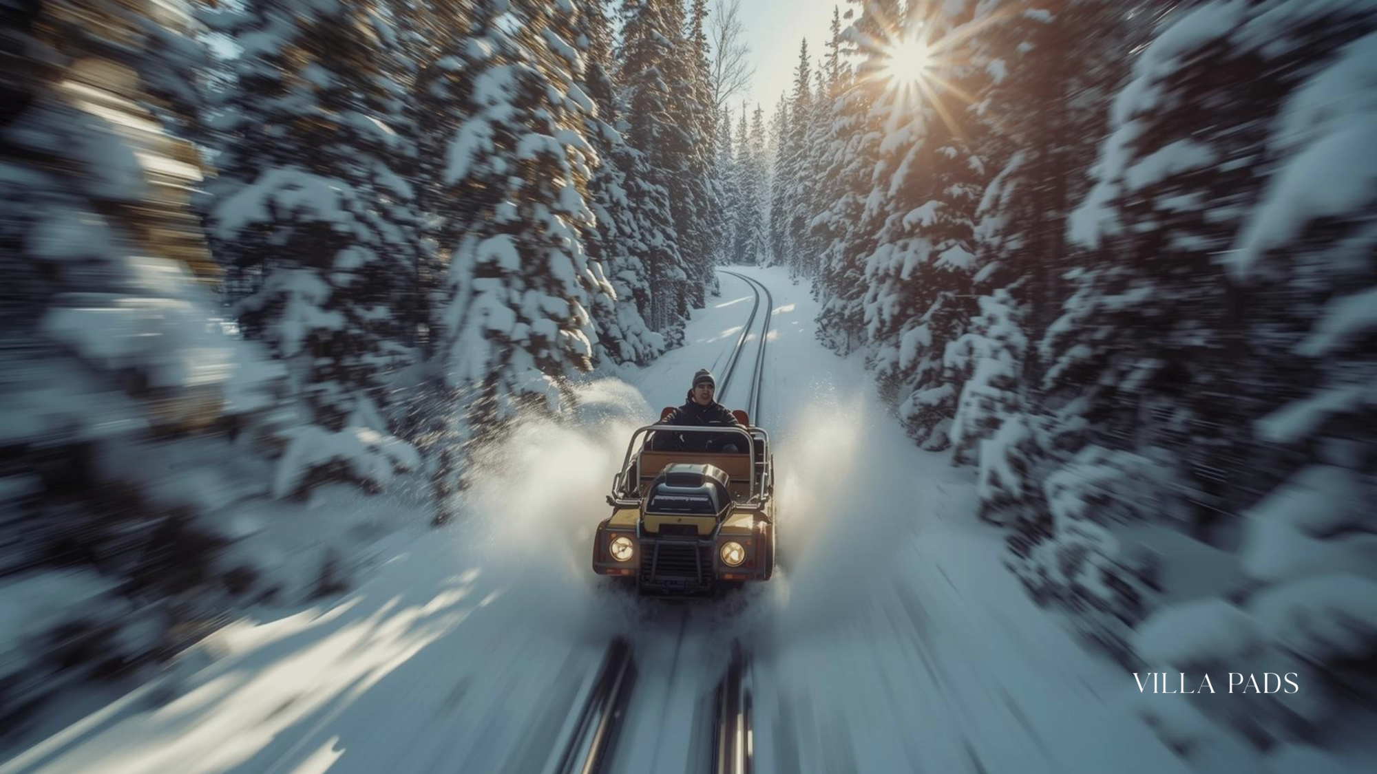 Adventure Ridge Forest Flyer Coaster