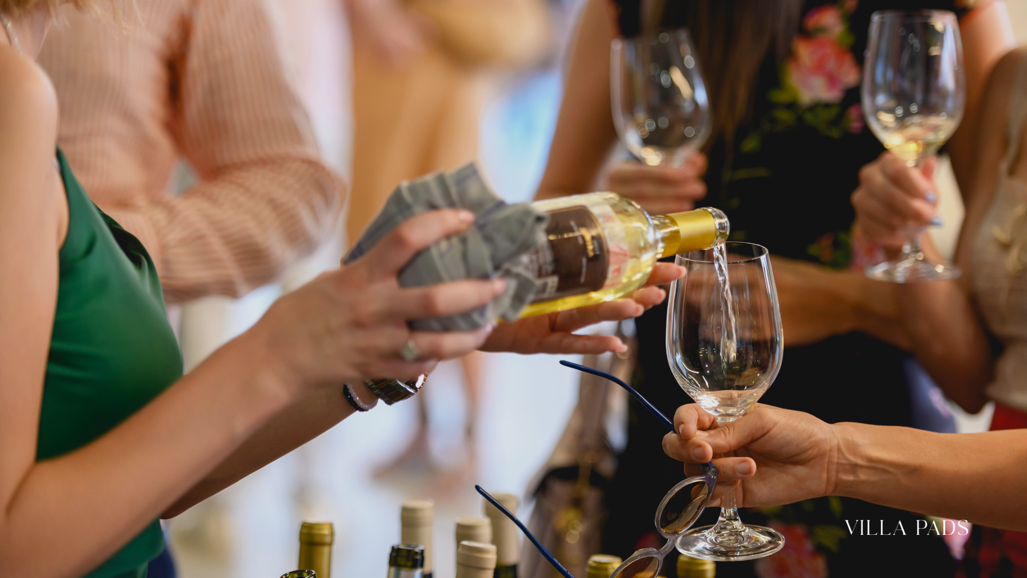 Queenstown Wine Festival