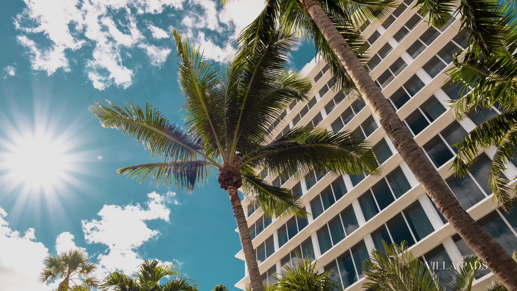 Outdoor Workshop Miami