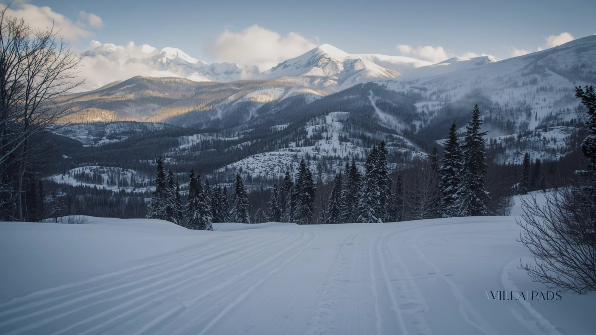 Aspen First Tracks Powder Morning