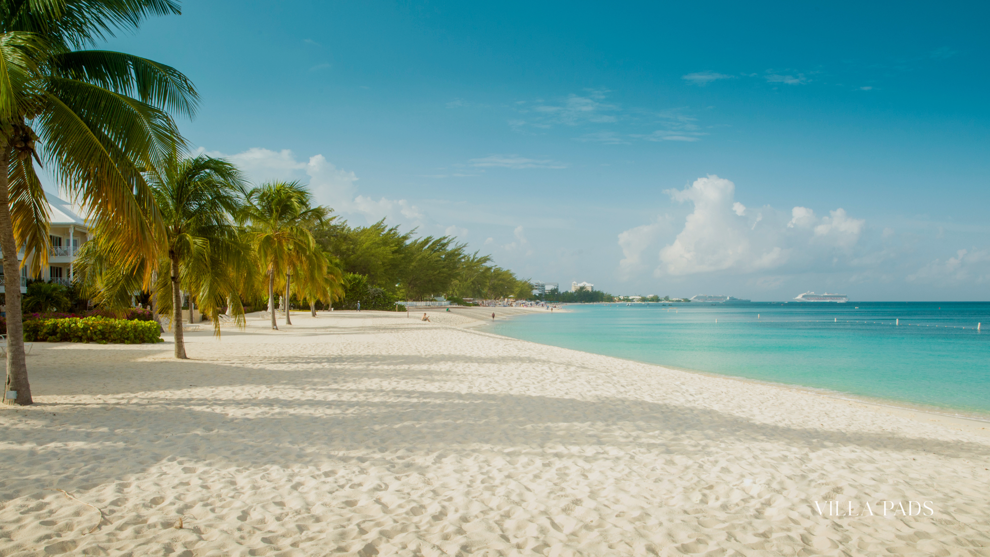 Grand Cayman Infinity Pool Villa