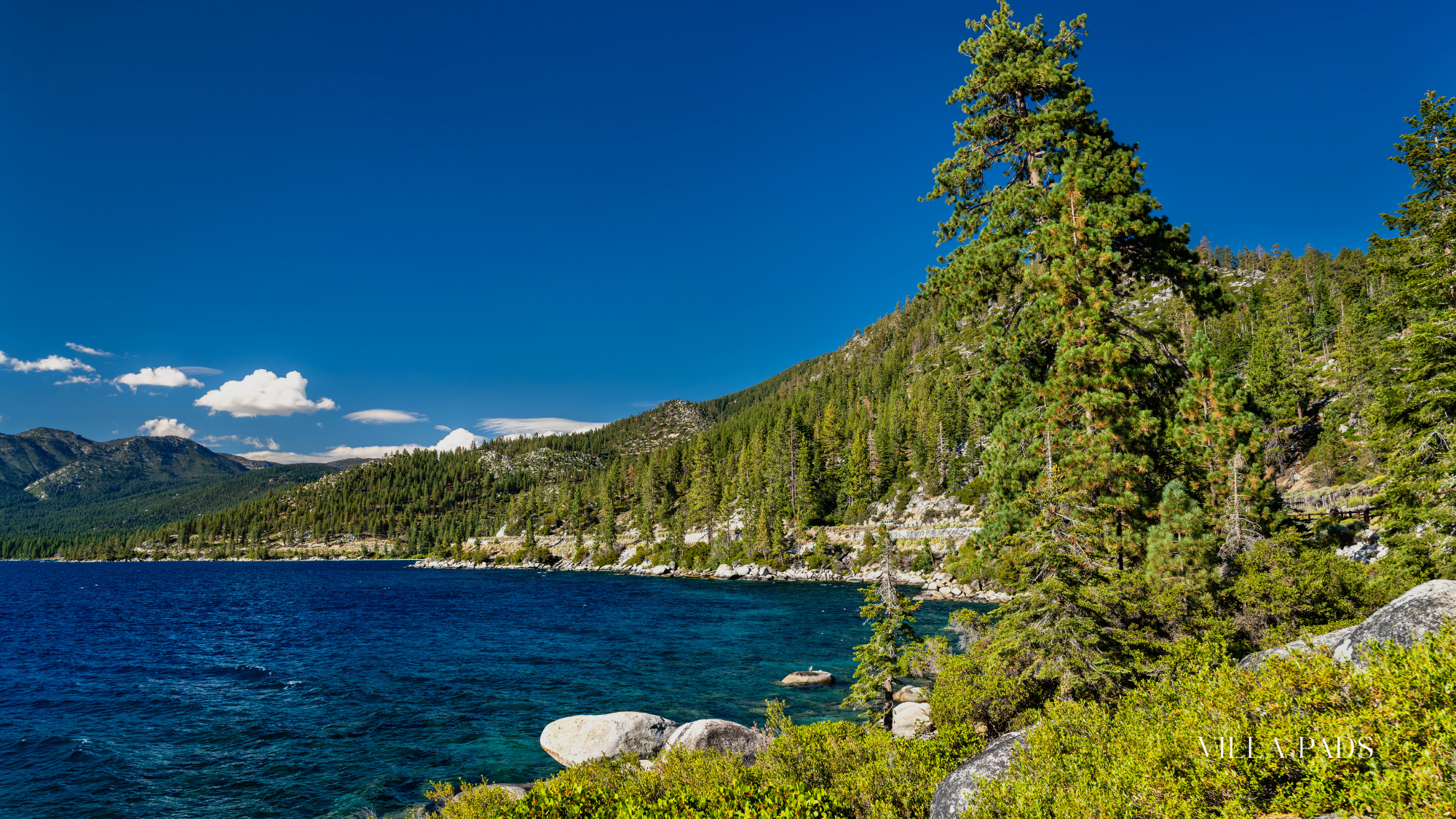 Lake Tahoe East Shore Scenic Drive Pines