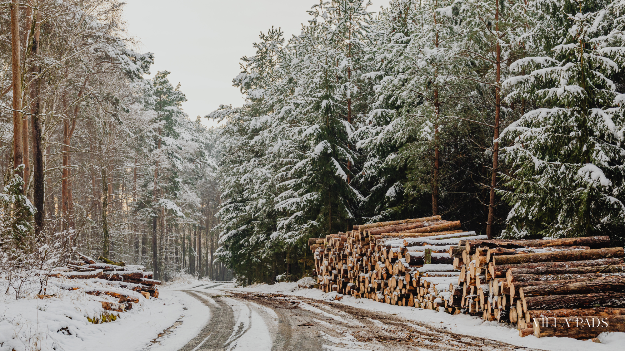 Anguilla Season Climate