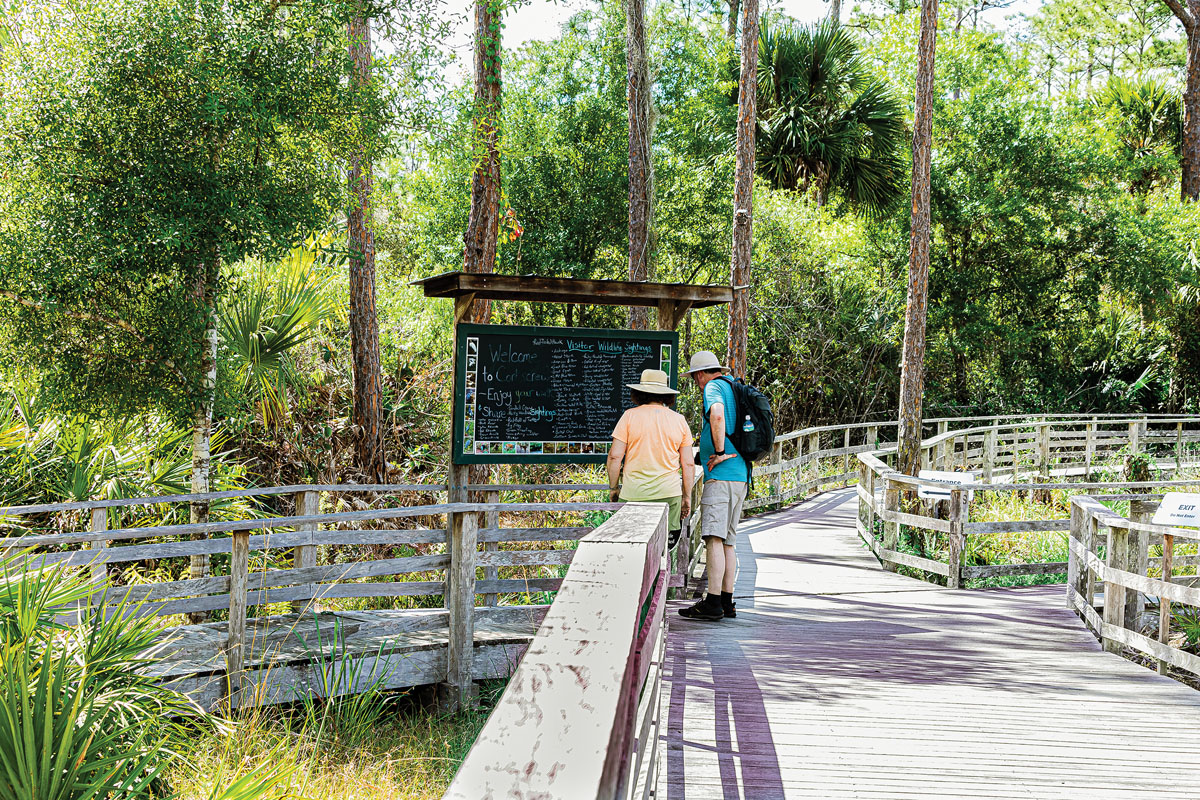 Corkscrew Swamp Nature Trail Png