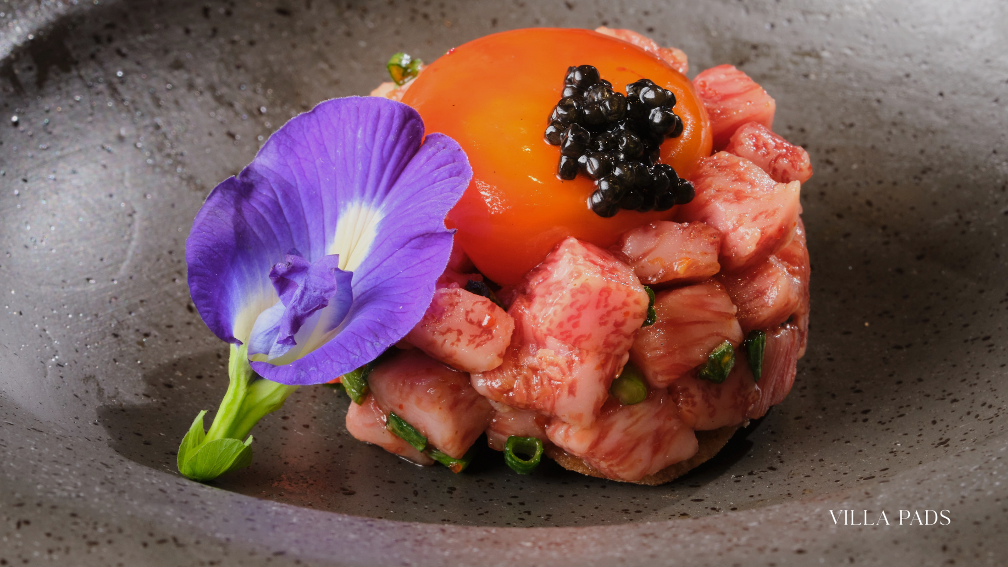 Element 47 Aspen Dining