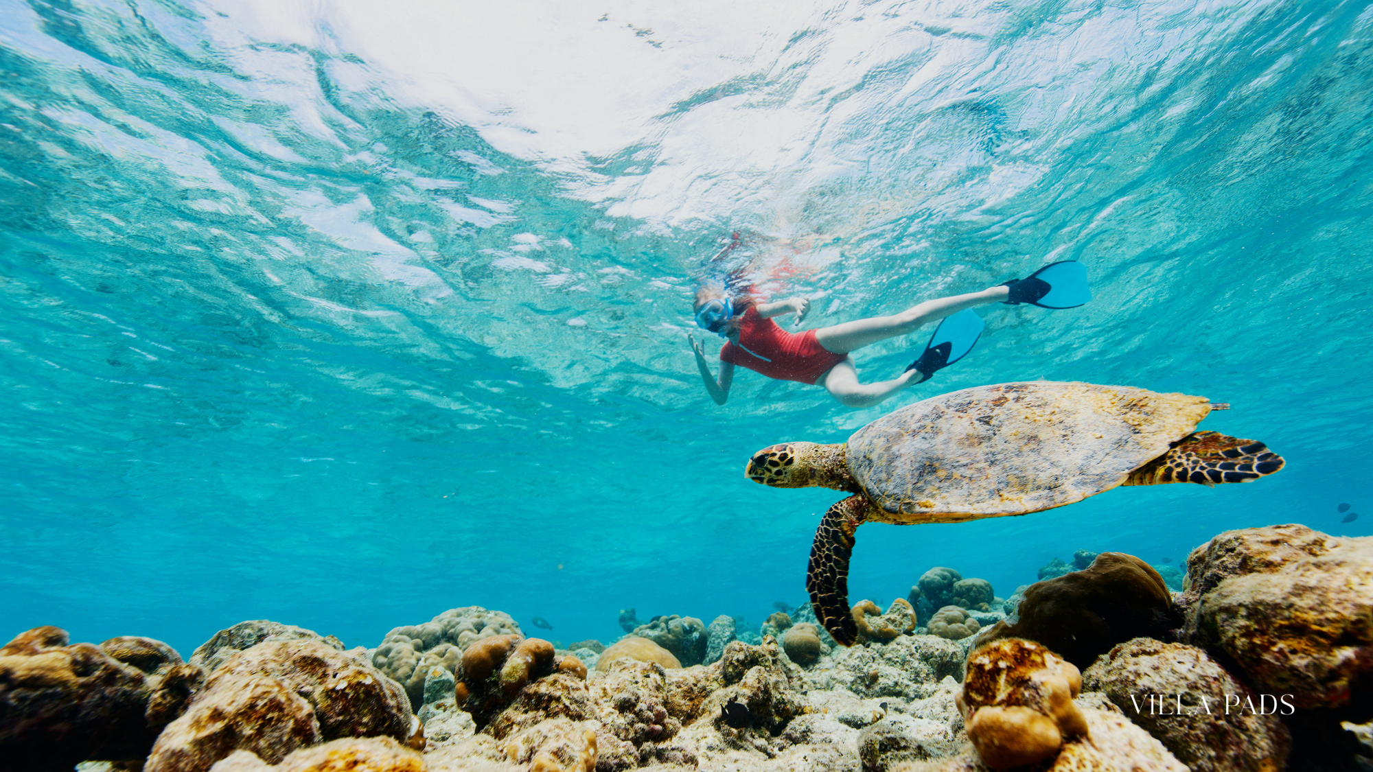Maldives Snorkeling Adventure