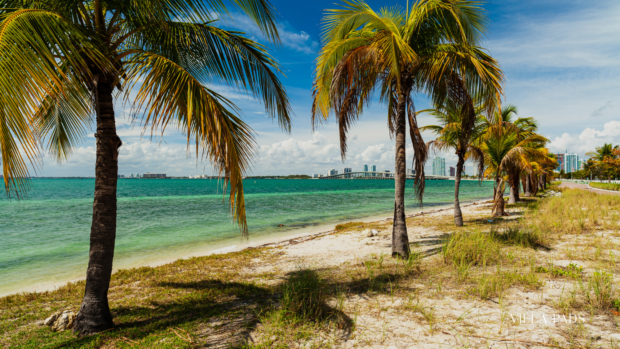 Key Biscayne Beach Miami