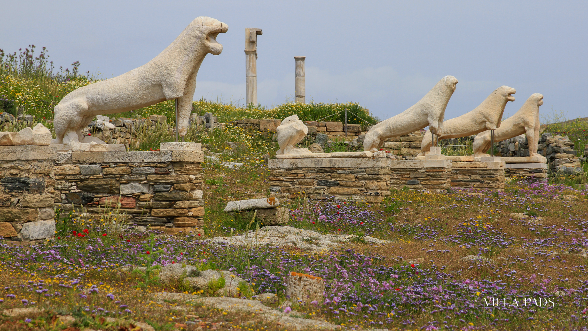 Delos Island Day Trip Ruins Terrace Lions Aegean