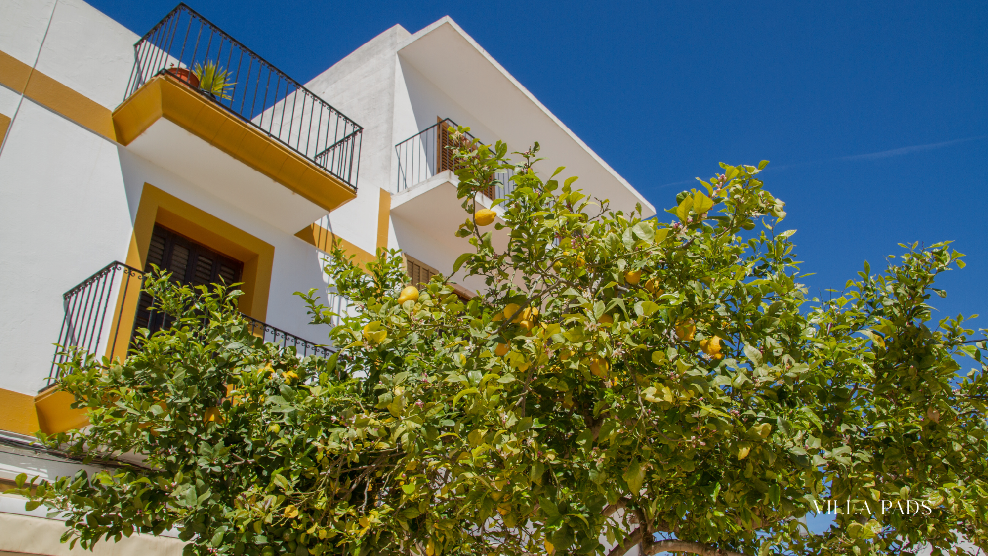 Ibiza Neighborhoods Families Choose