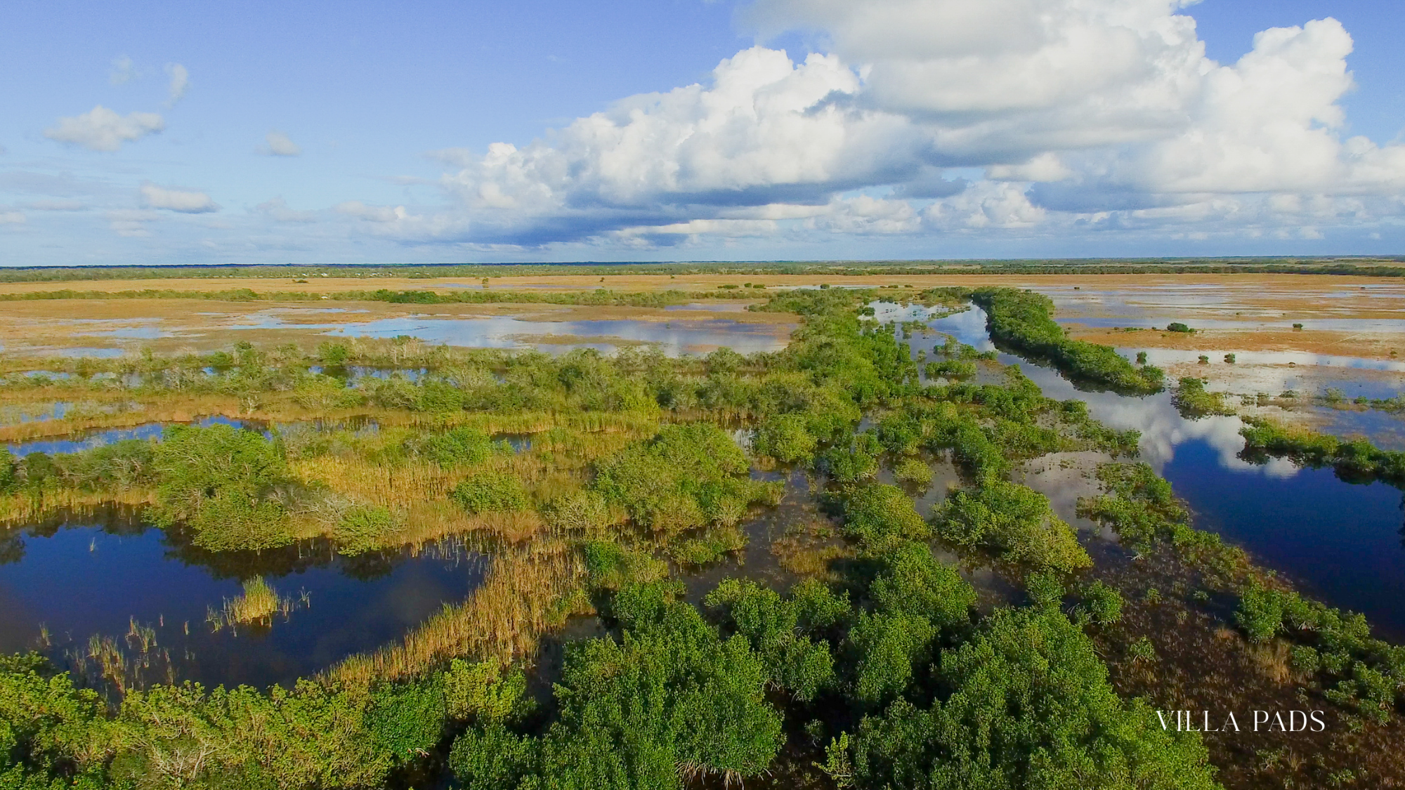 Everglades Wonder Gardens Flamingo Sanctuary