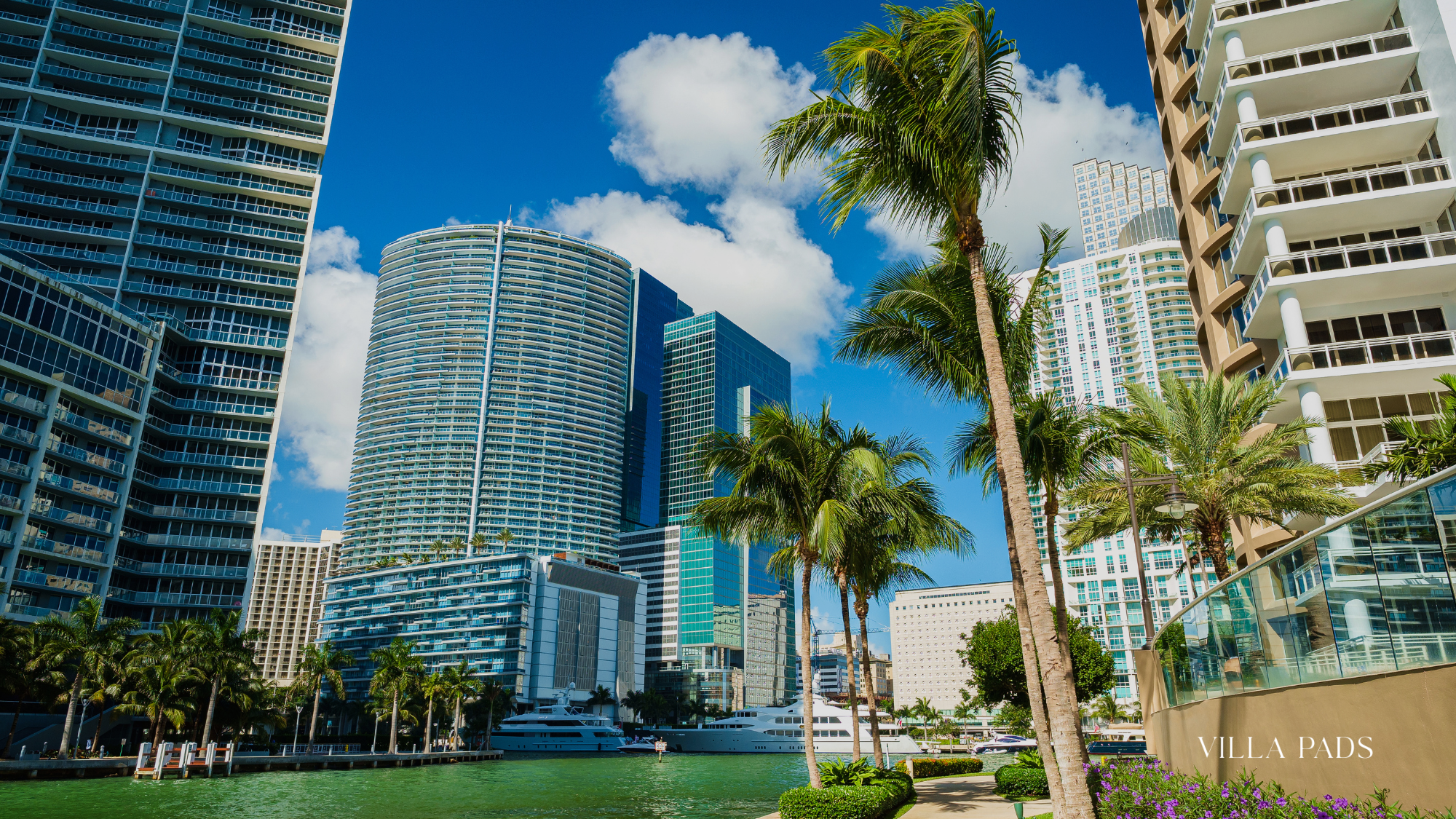 Miami Art Basel