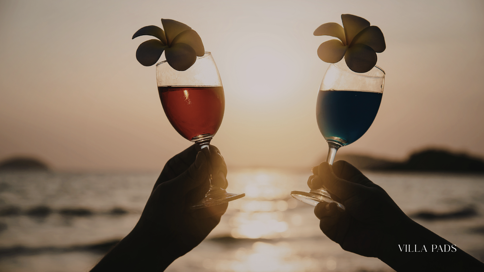 Sunset Toast Miami Luxury