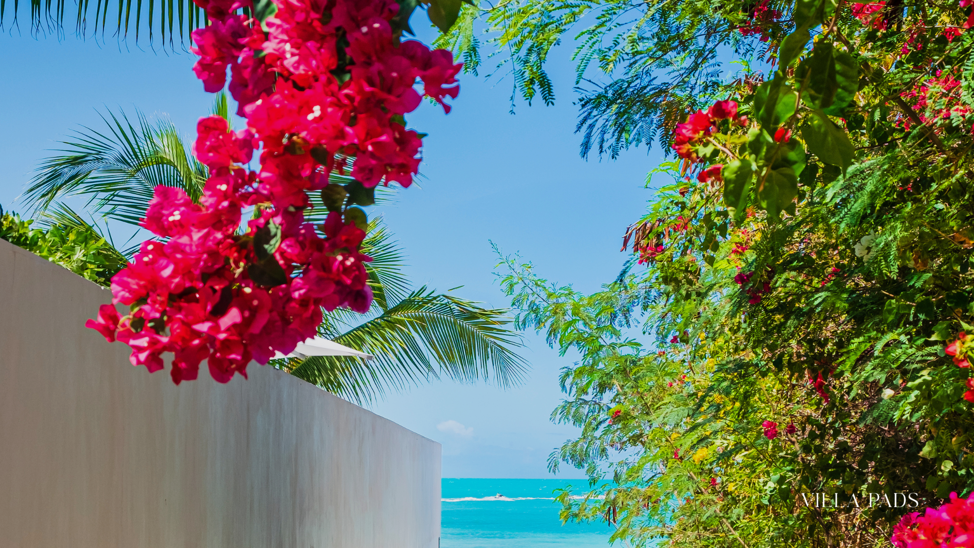 Nature Escapes Turks And Caicos