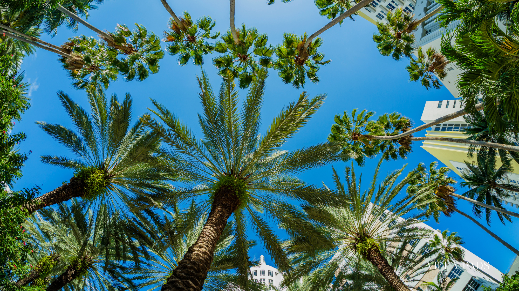 Iconic Buildings Miami Art Deco