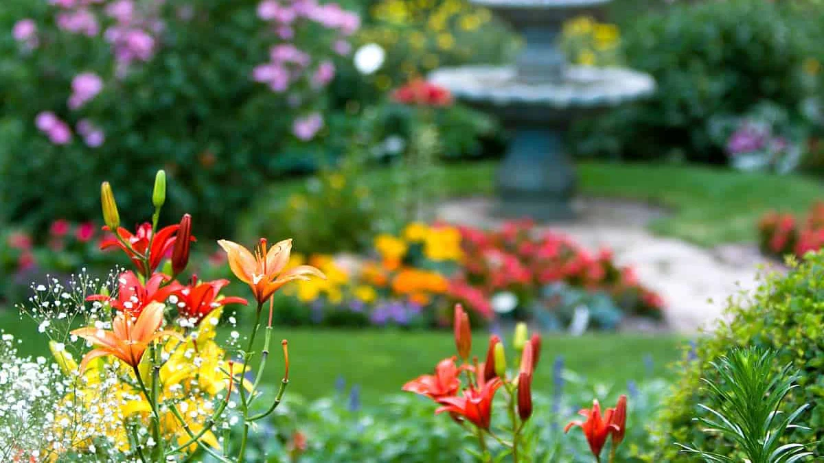 Top Botanical Gardens To Explore In South Florida