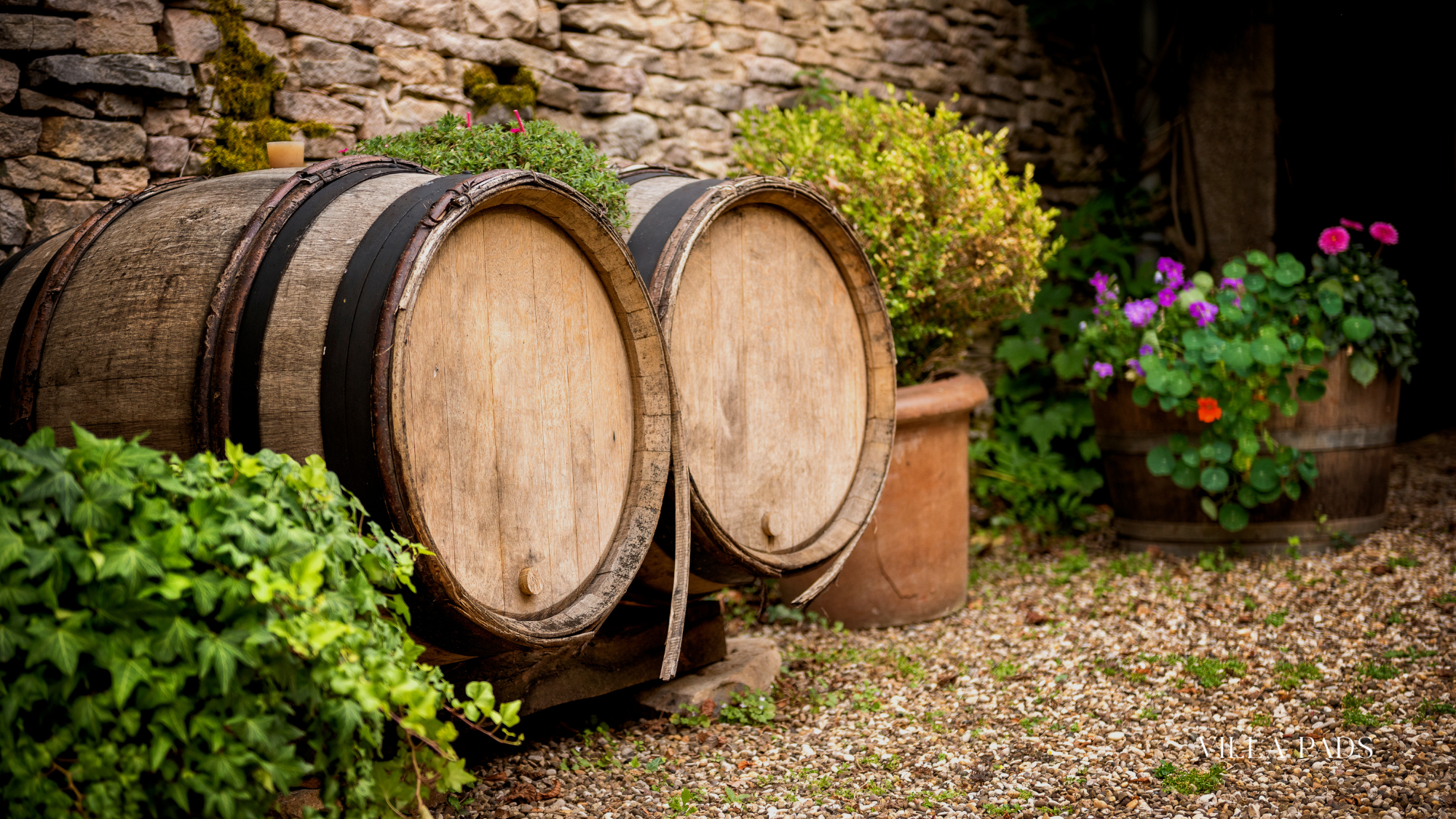 Burgundy French Wine Dining