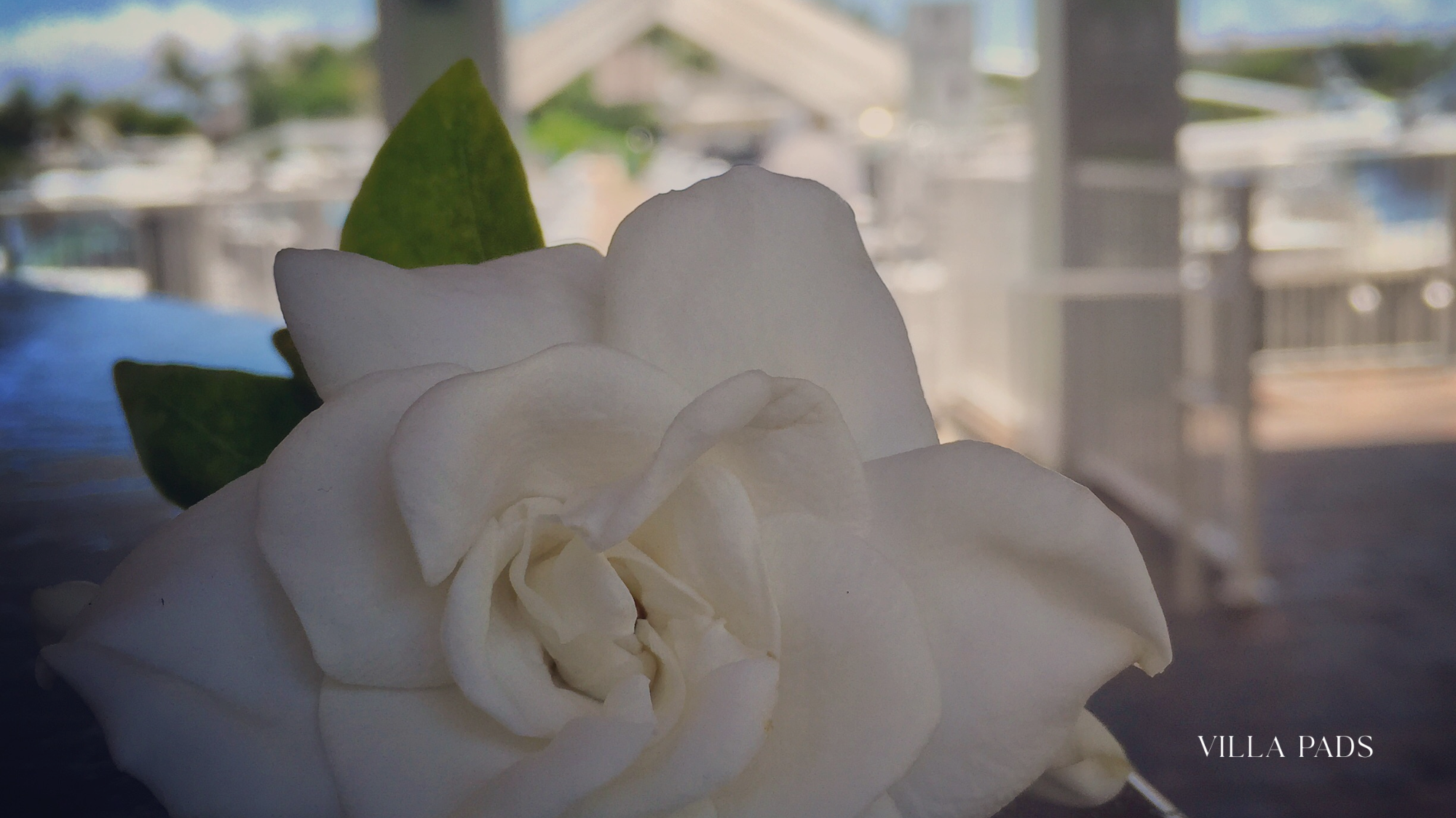 The Most Romantic Luxury Spots In South Florida