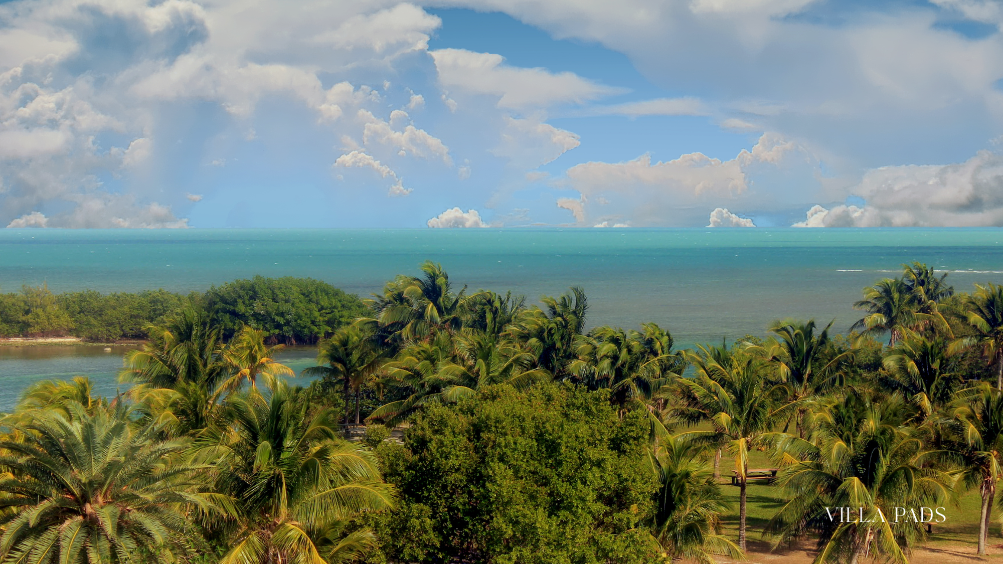 Biscayne National Park Wildlife