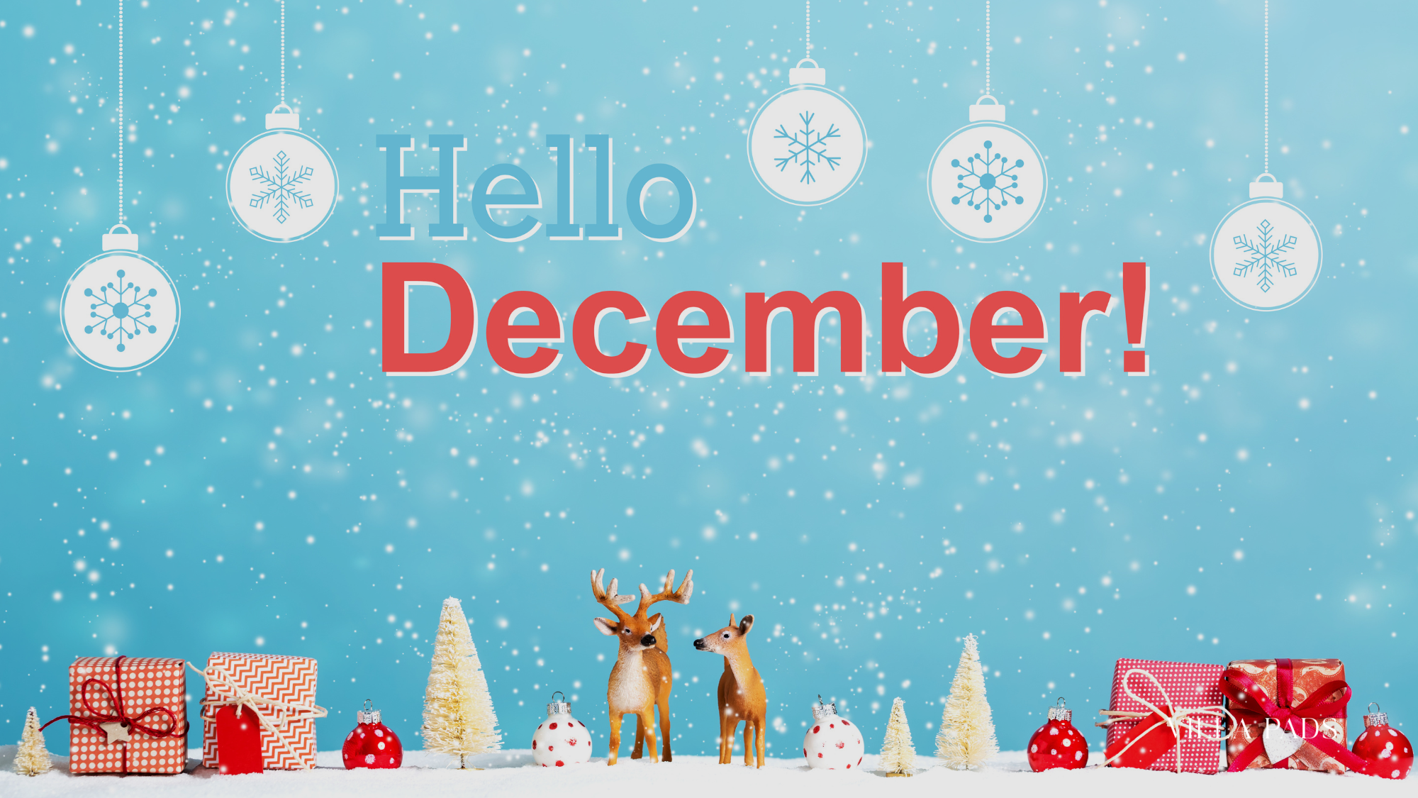 December Miami Villa Holidays