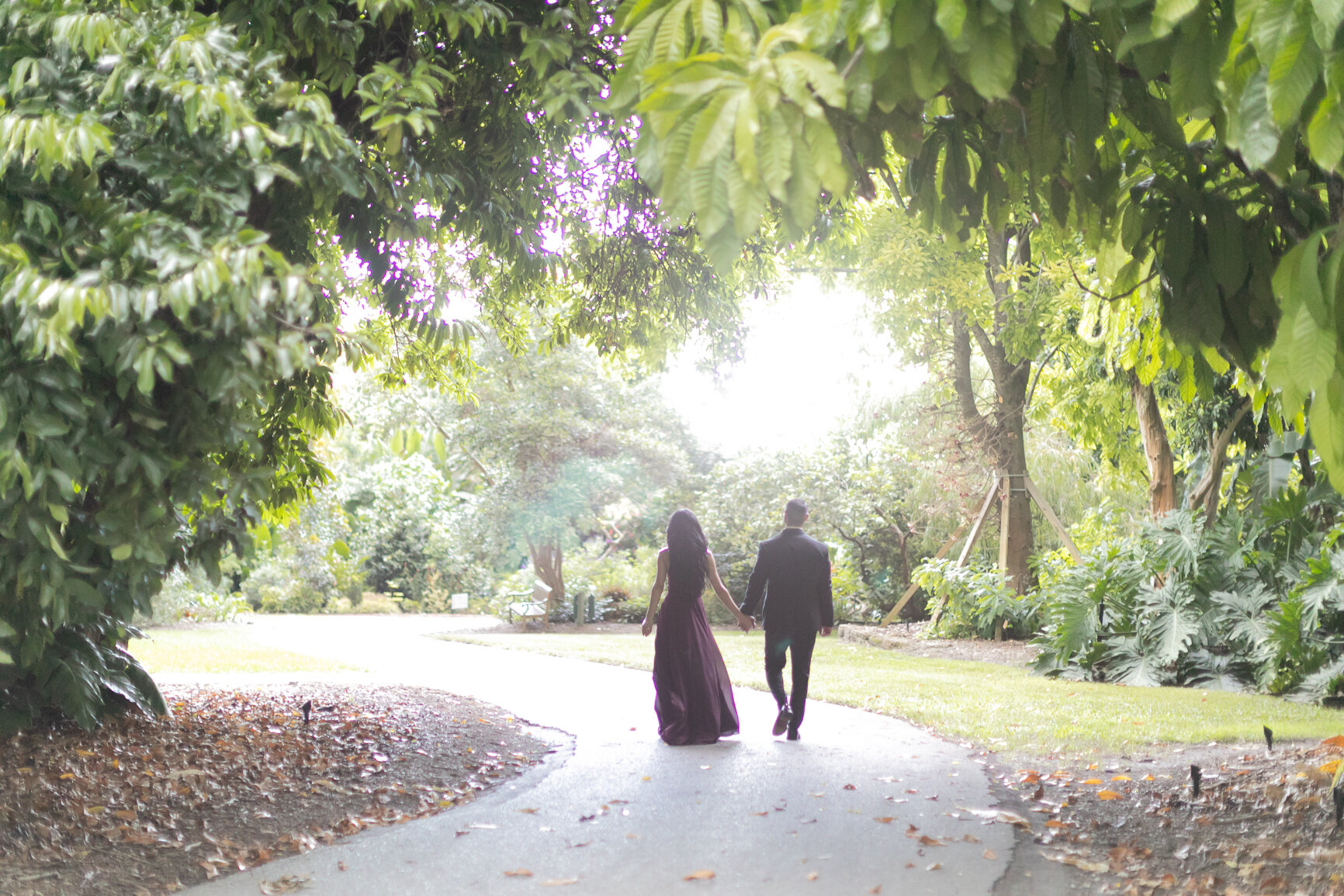 Fairchild Garden Miami Fall