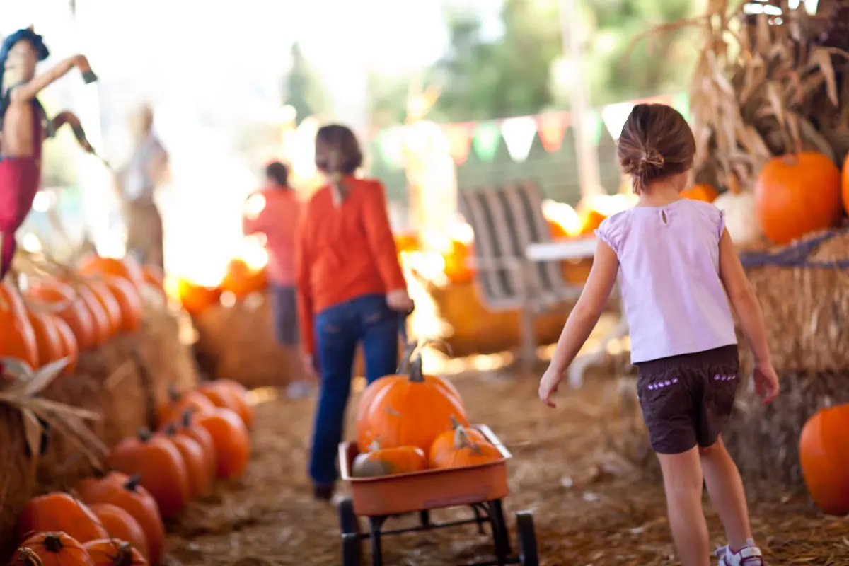 Miami Fall Family Activities