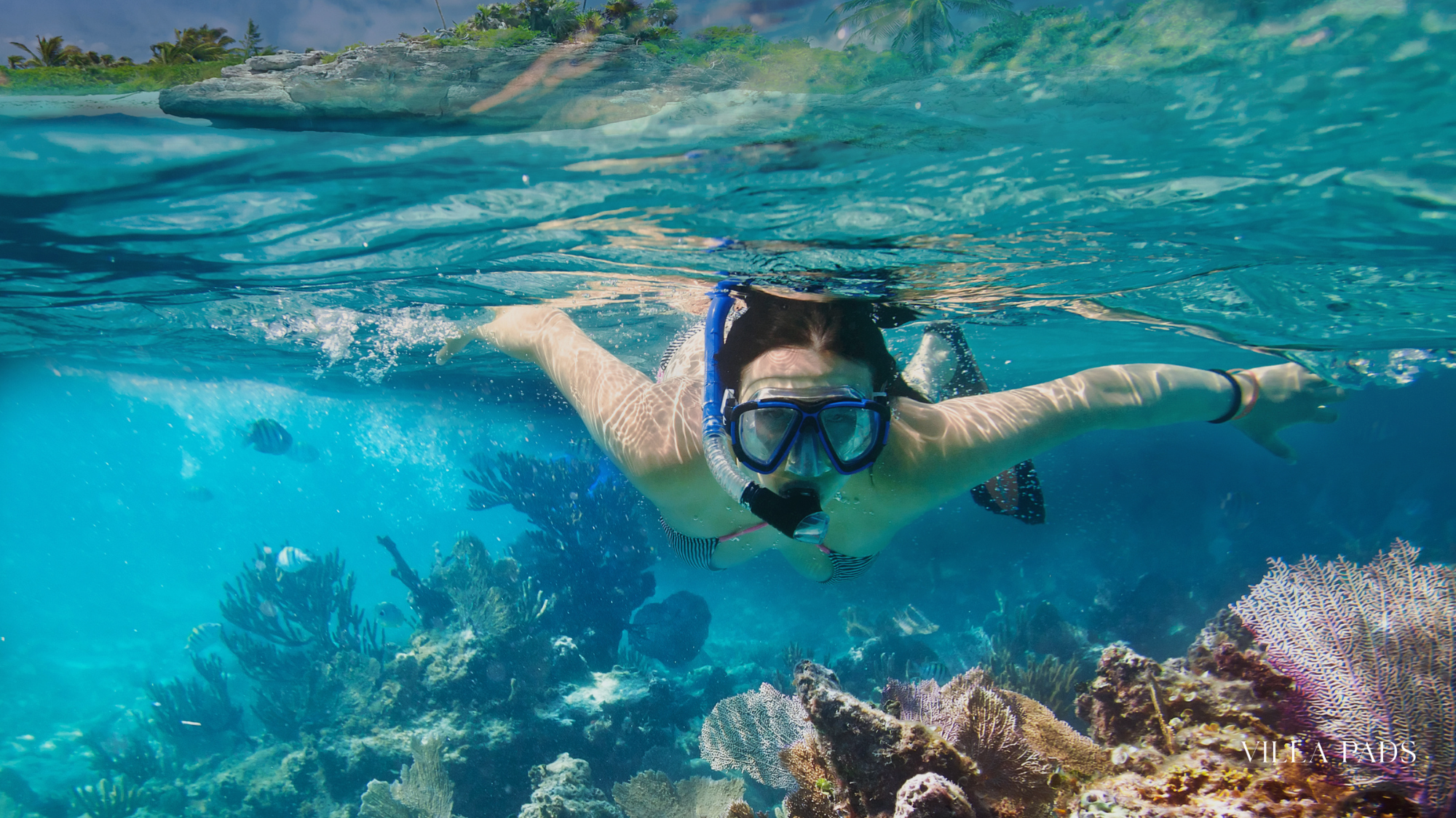 Anguilla Snorkeling Activity