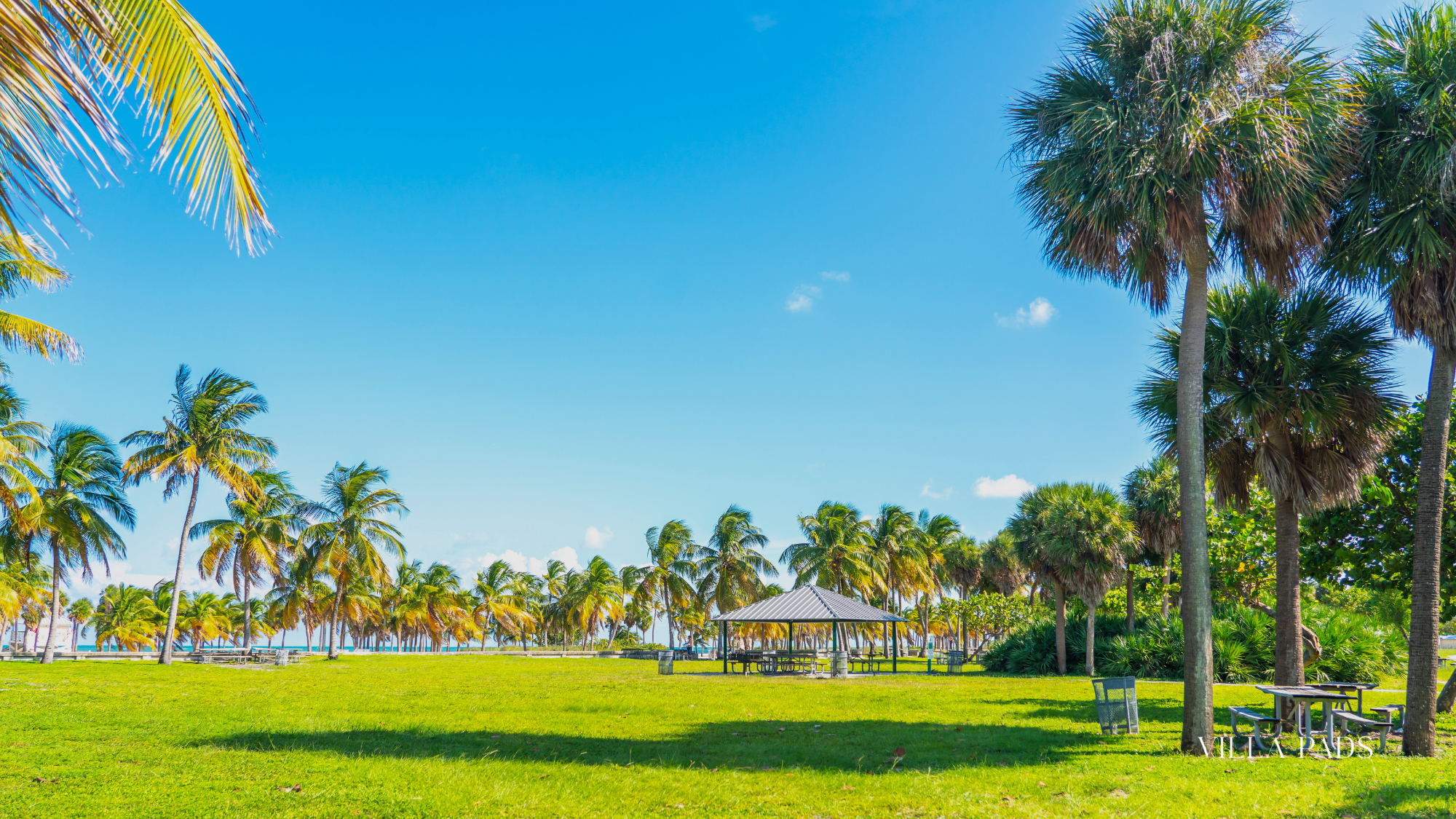 Crandon Park Key Biscayne F1 Miami 2025