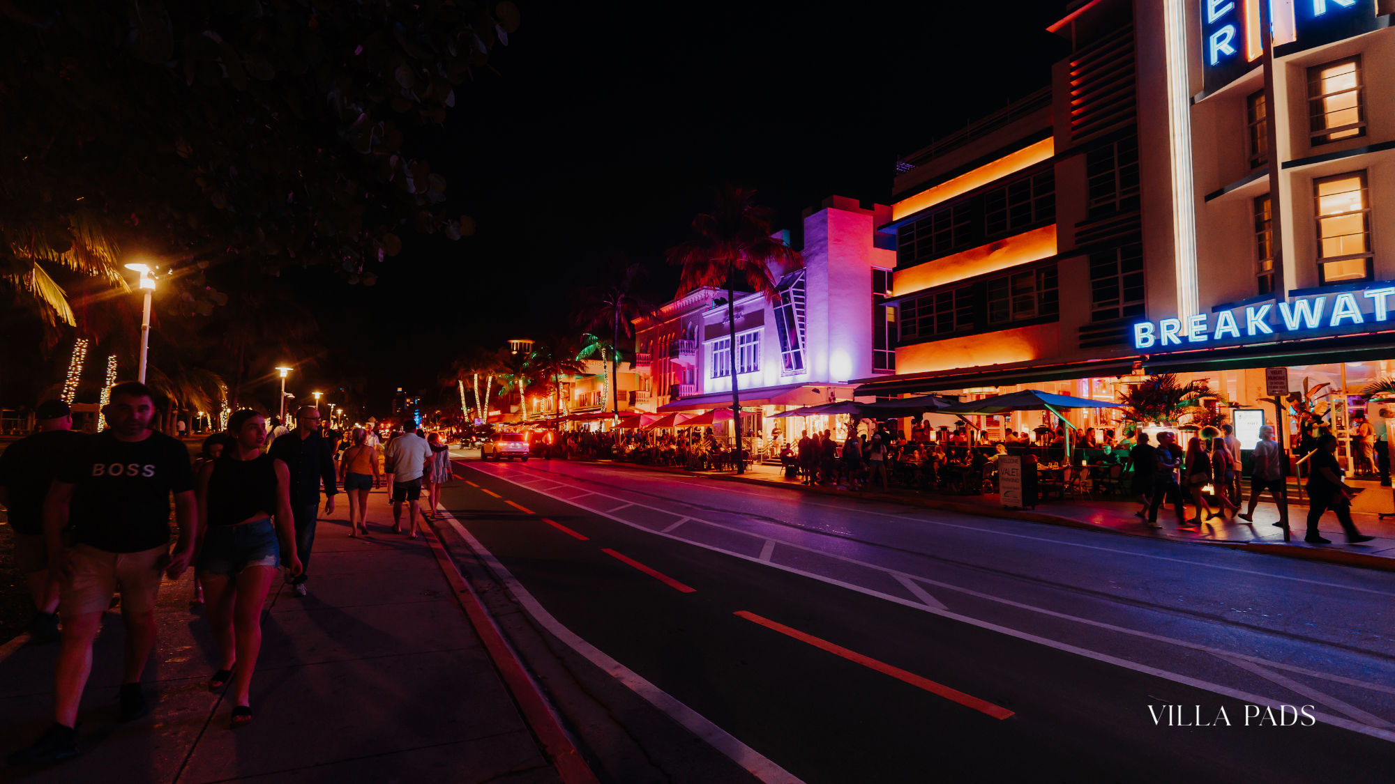 Miami Luxury Nightlife Liv