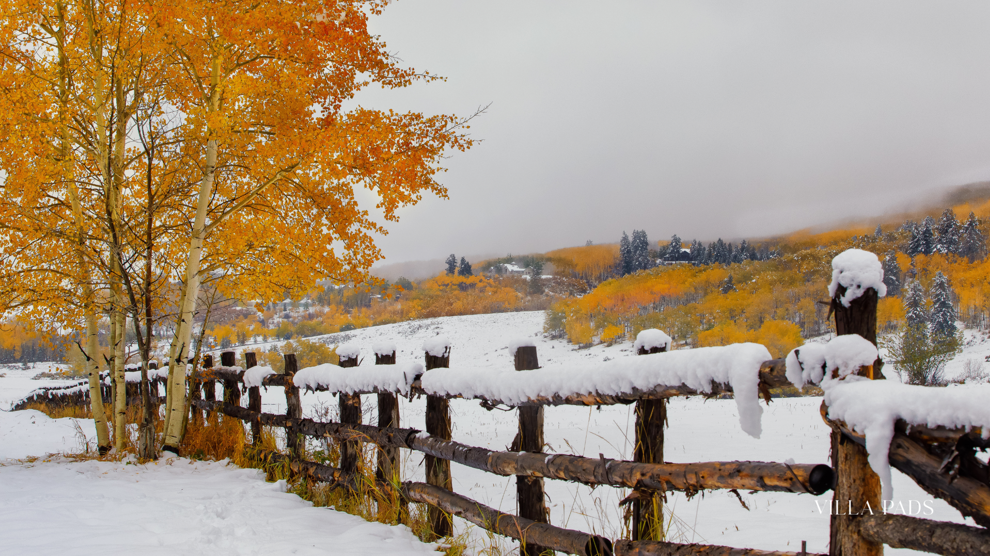 Aspen Neighborhood Group
