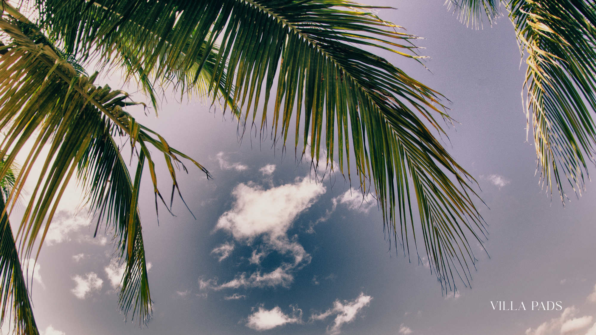 Grand Turk Island Guide