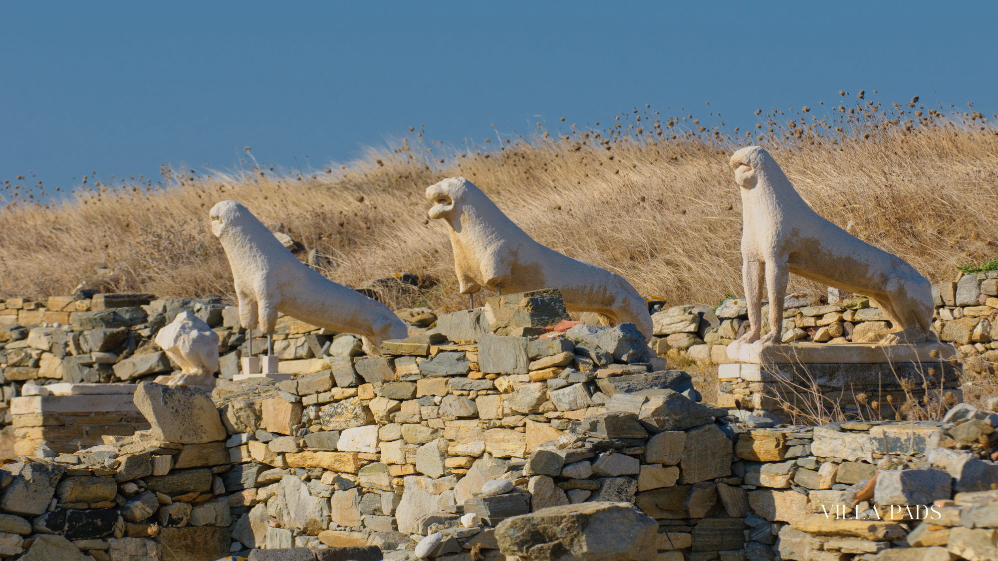 Delos Terrace Of Lions Ruins