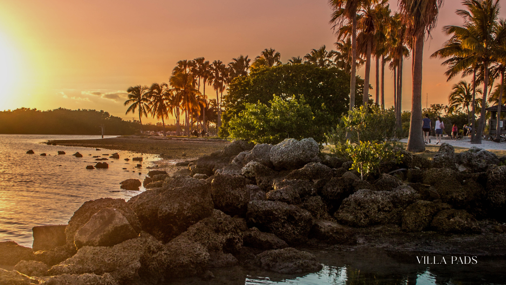 Matheson Hammock Park F1 Miami 2025