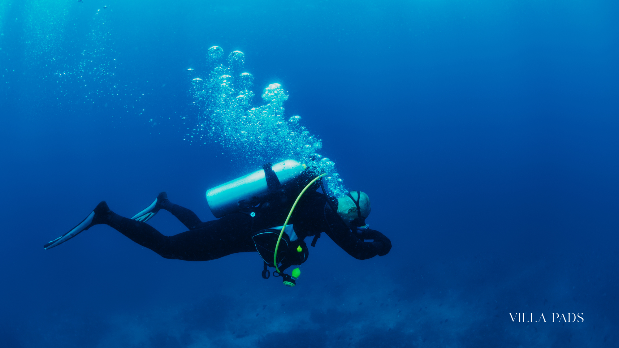 Bohio Dive Resort Havens