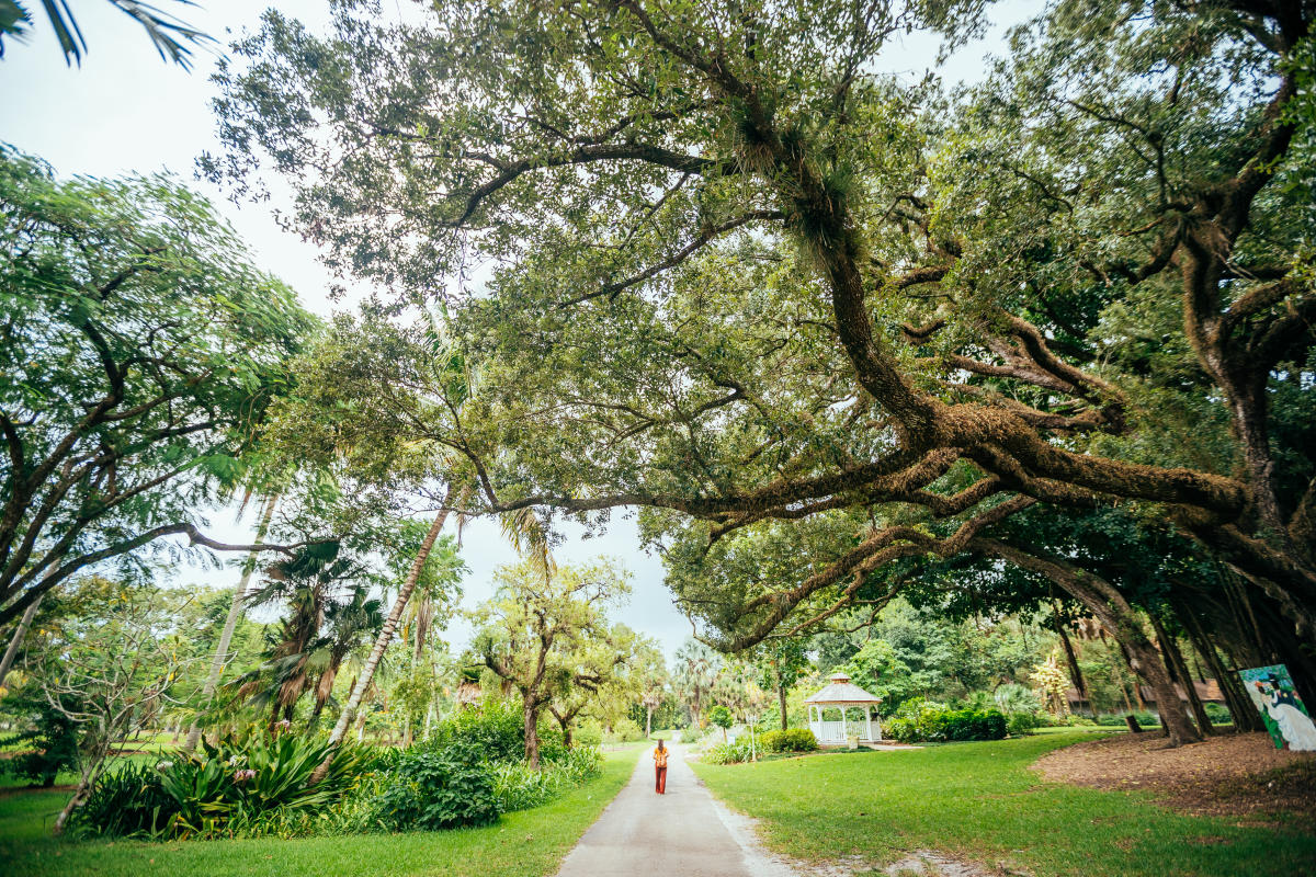 Tree Tops Park Nature Trails Davie
