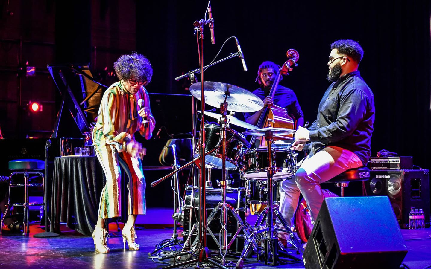 Miami Jazz Festival Concert Villa Views